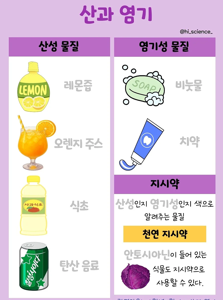 비타민B군 9