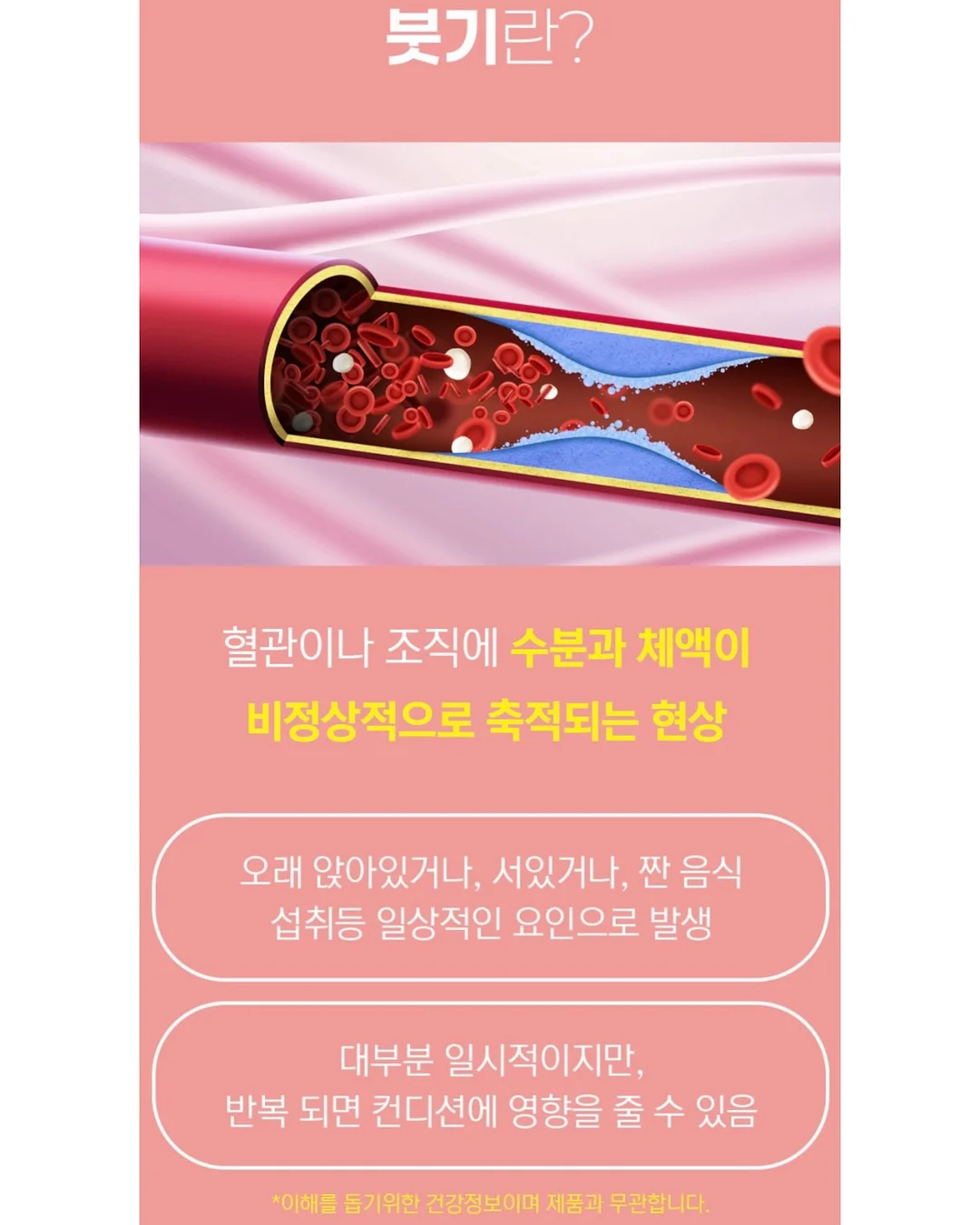 폴딩 선풍기 4