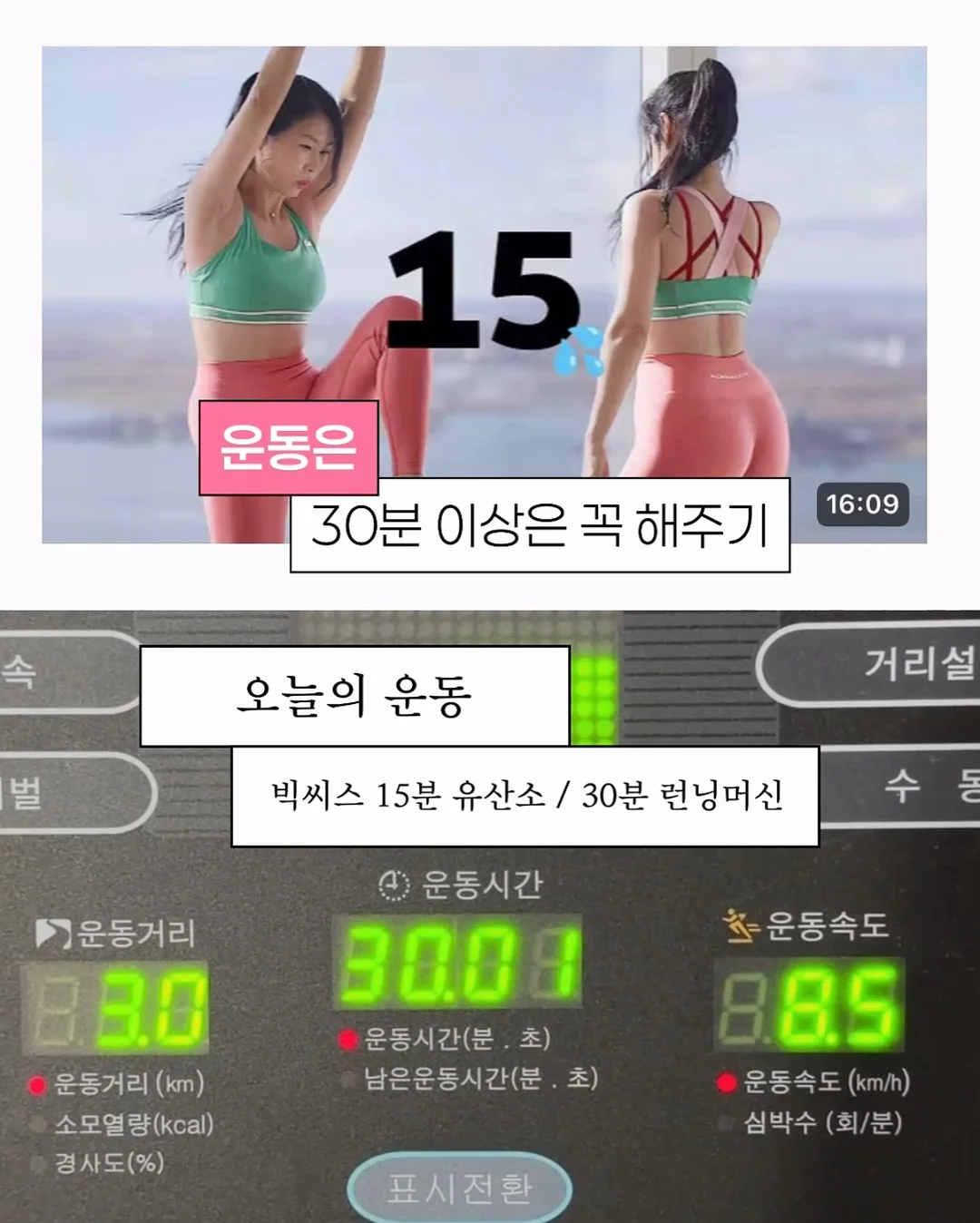 바레 마스터 코스 8
