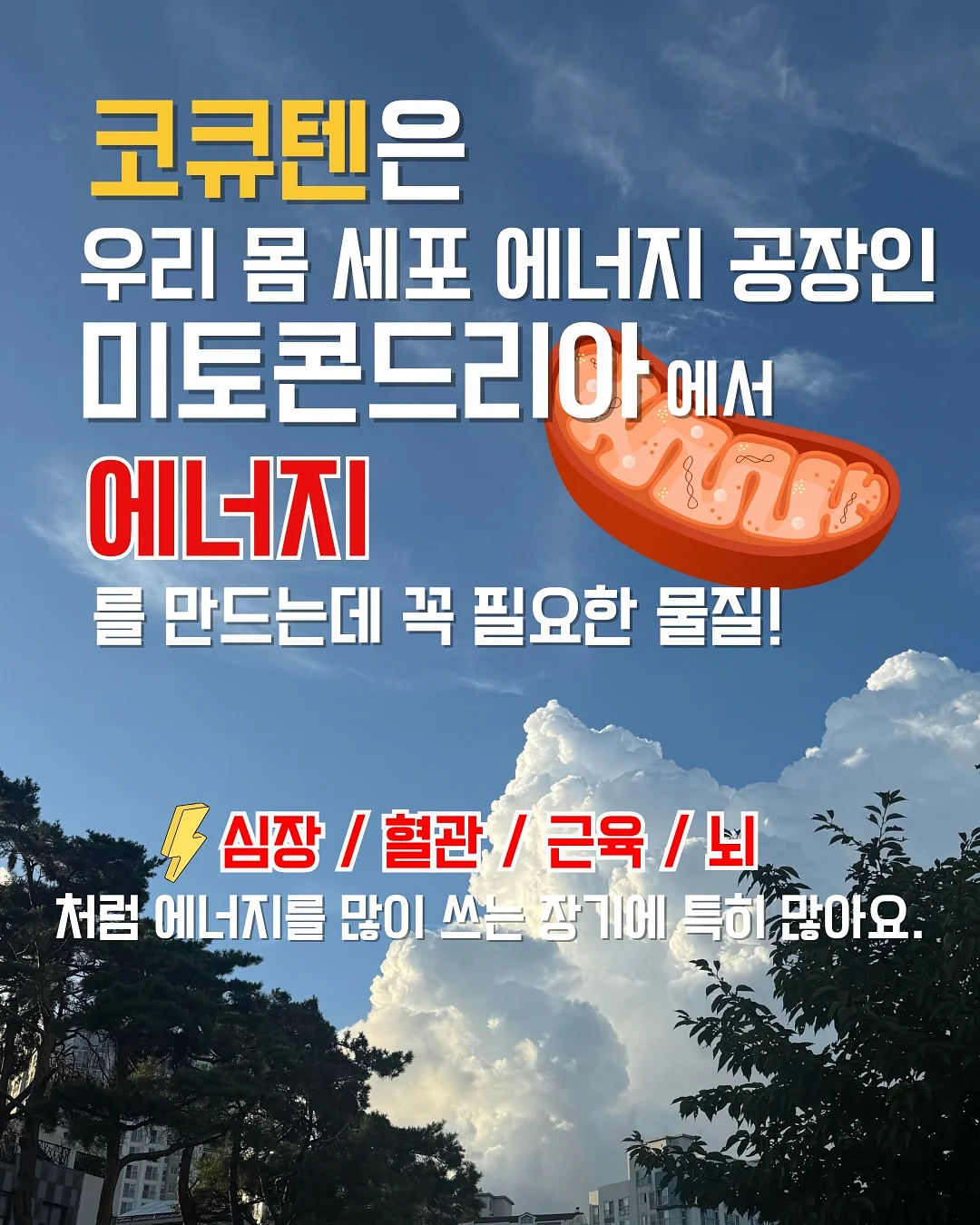 김치 4