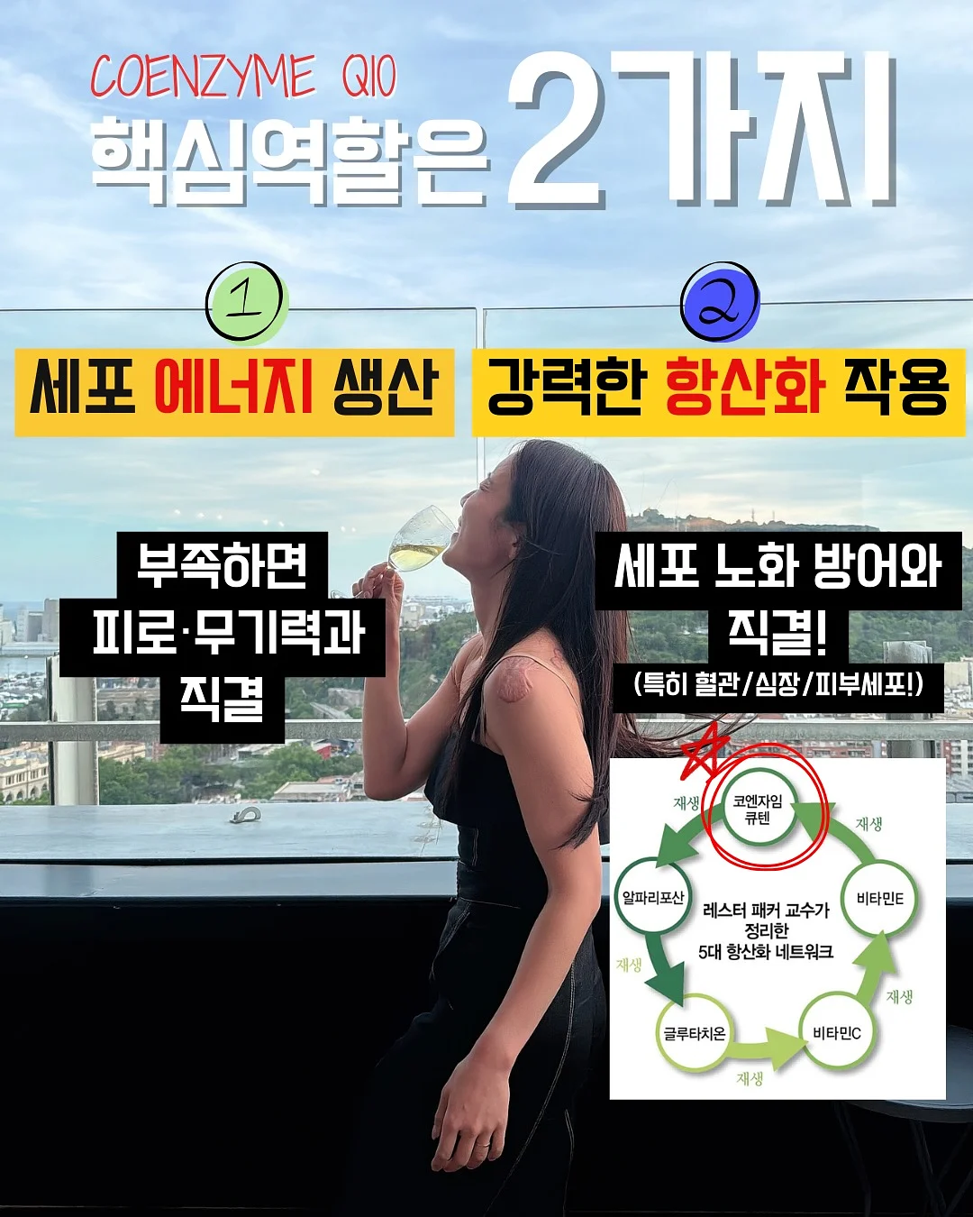 김치 5