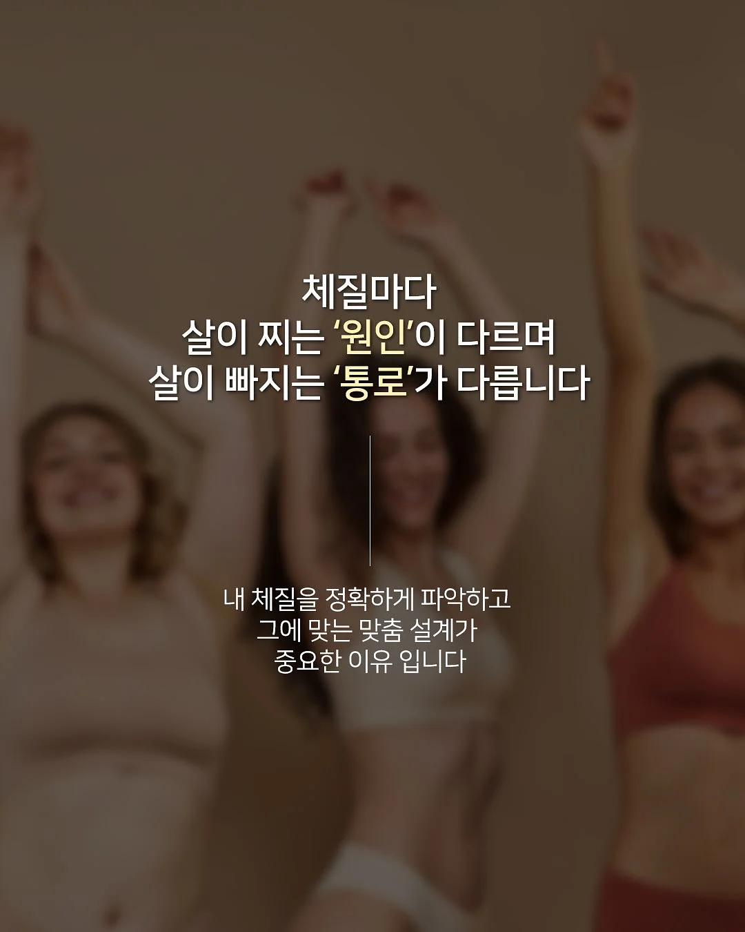 실리콘 곰팡이 제거제 7