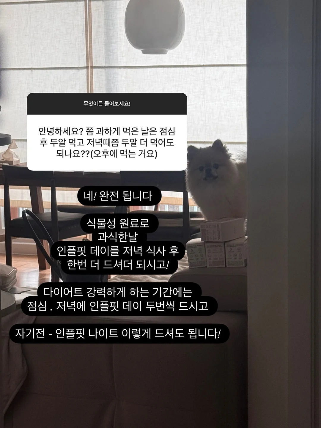 양브이 골지T 3