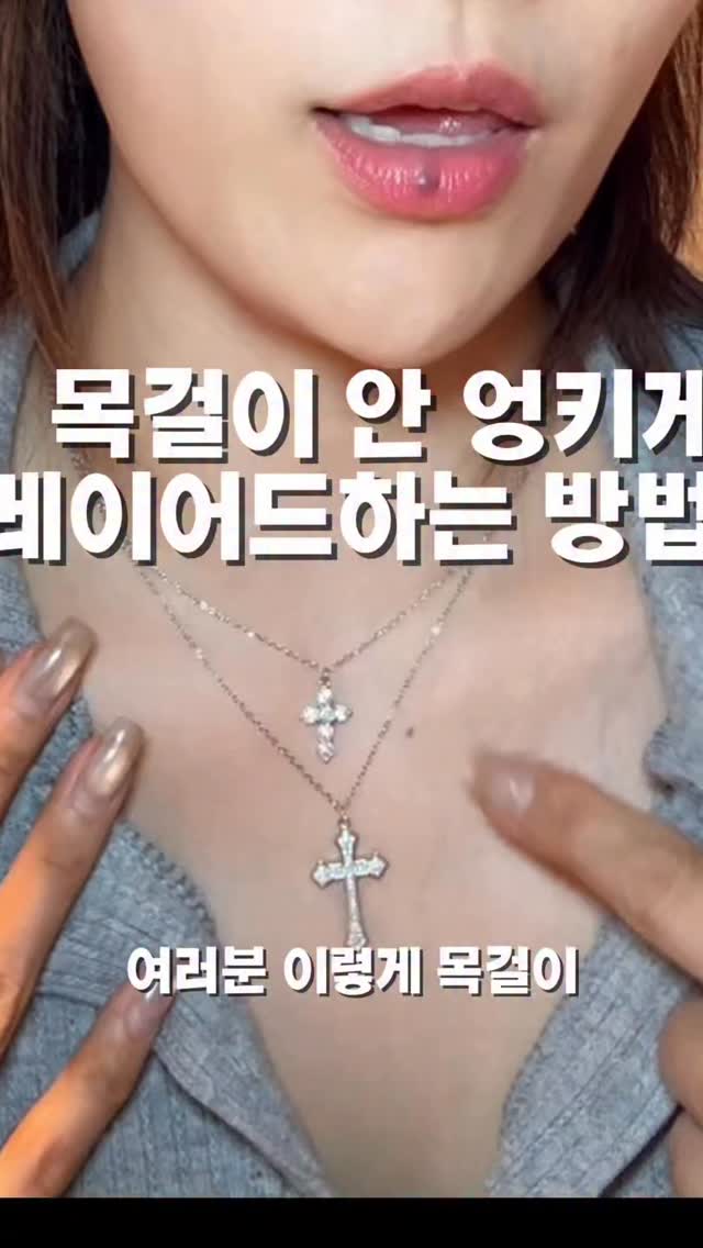스테파니아 에렉타