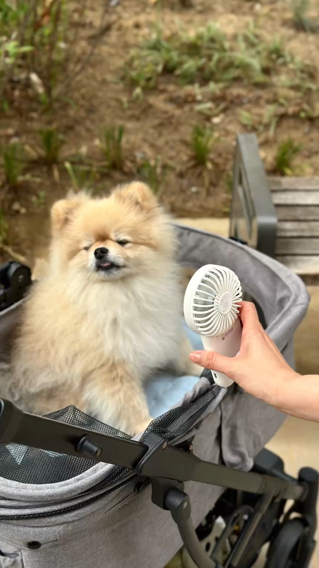 선인장 게임