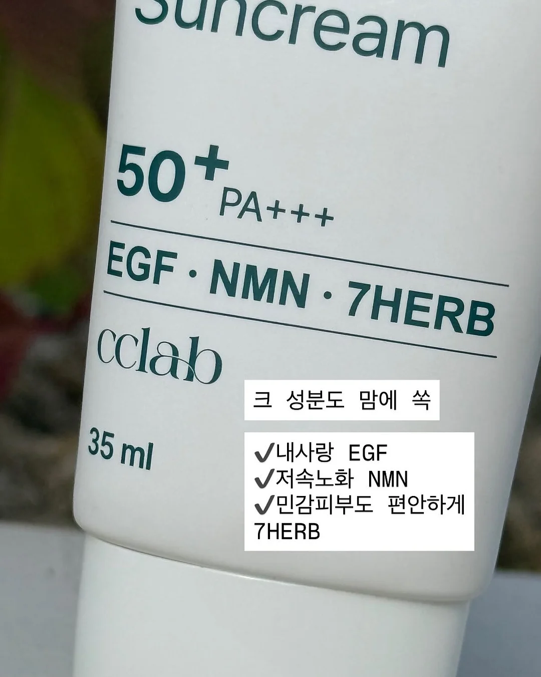 DE5862 Oh Boy! 컬러 가구 6