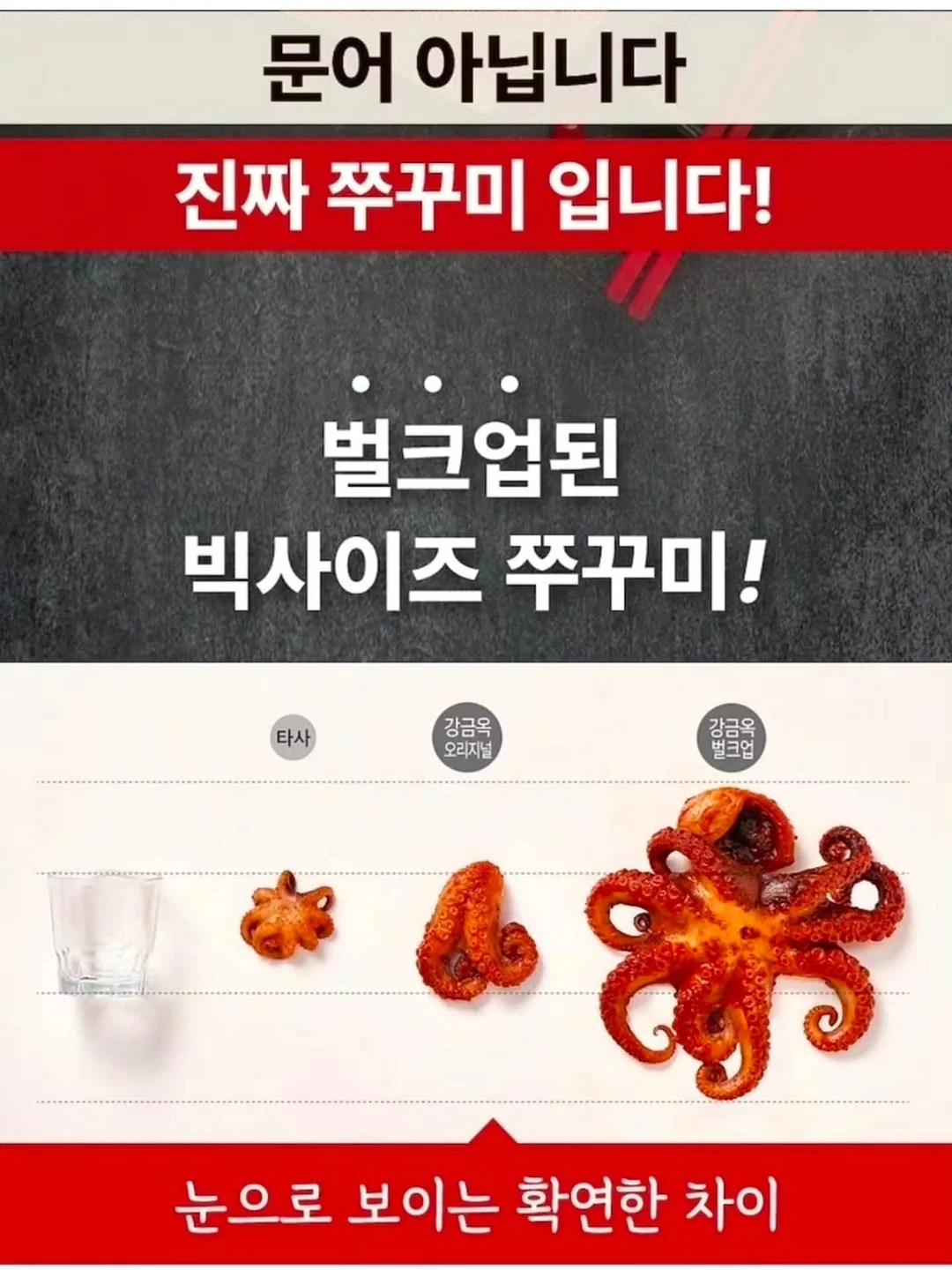 피스타치오 오랑제뜨 15