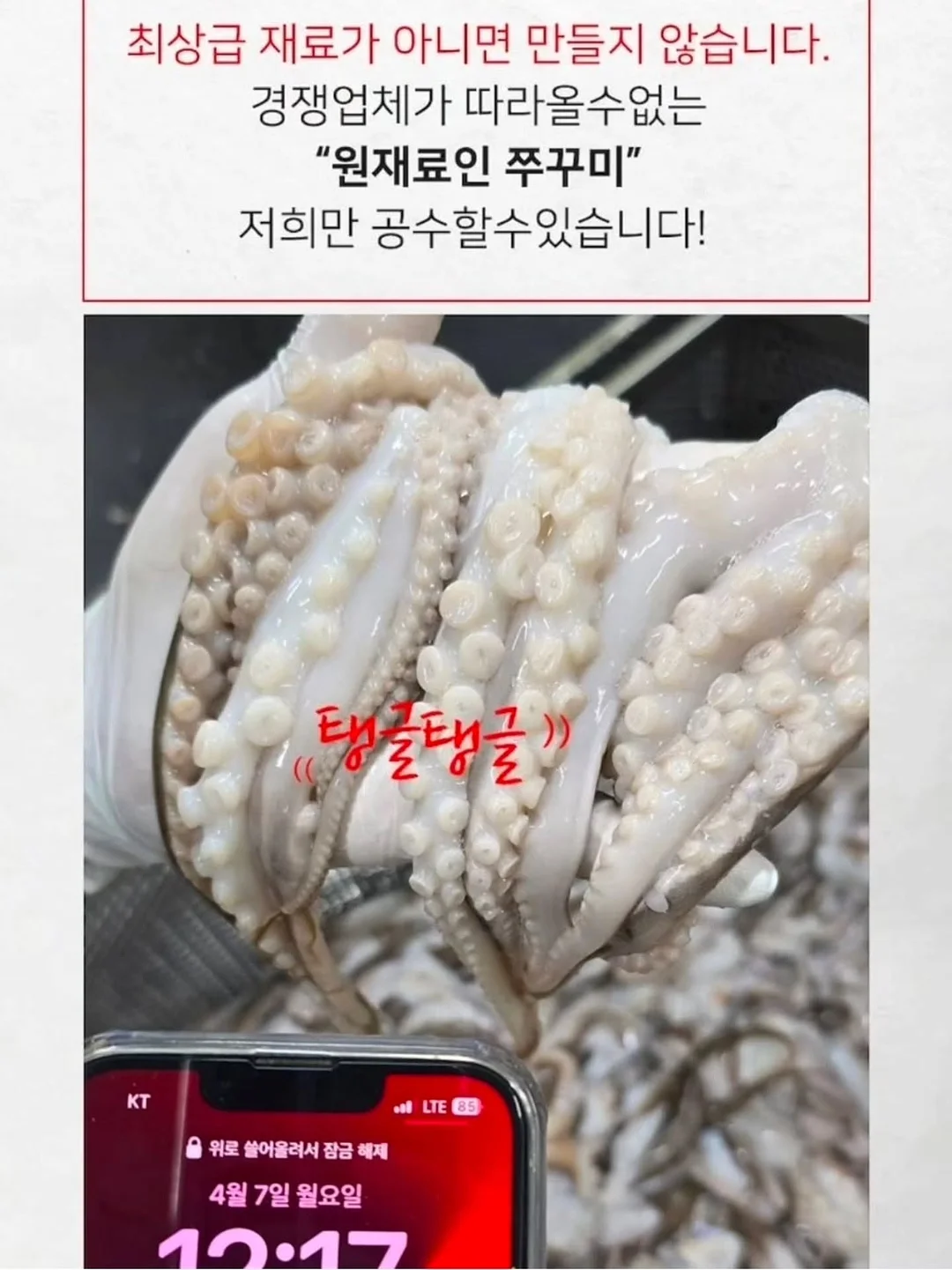 피스타치오 오랑제뜨 17