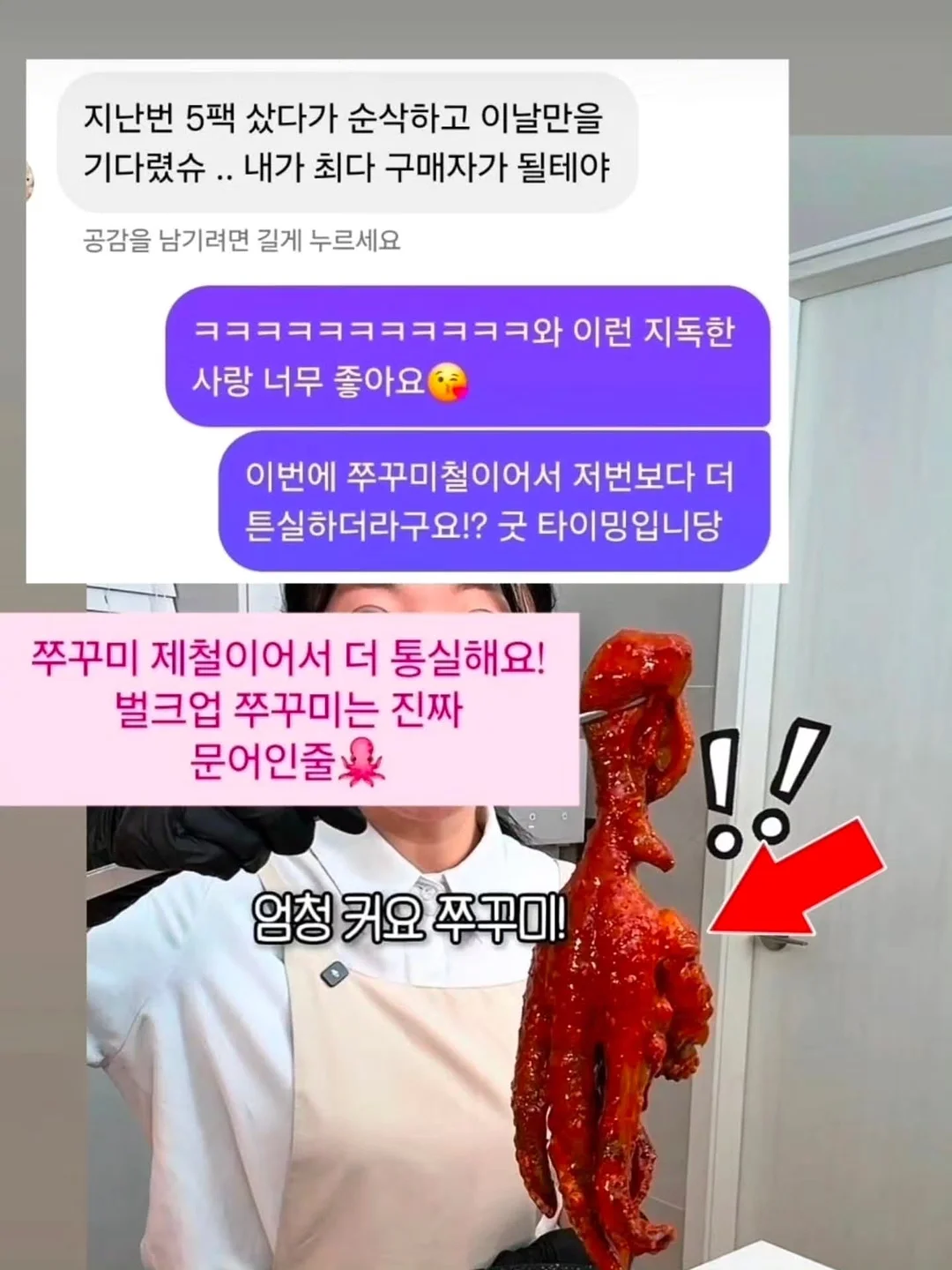 피스타치오 오랑제뜨 8
