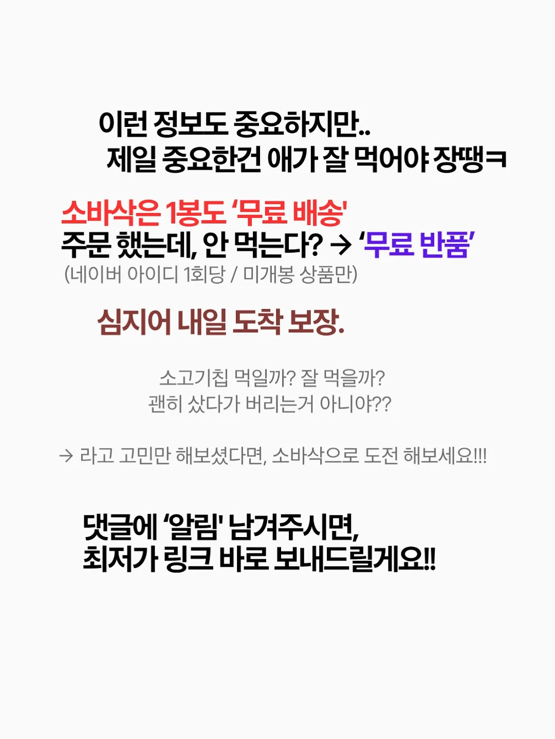 이치고 월간 신문 6월호 19
