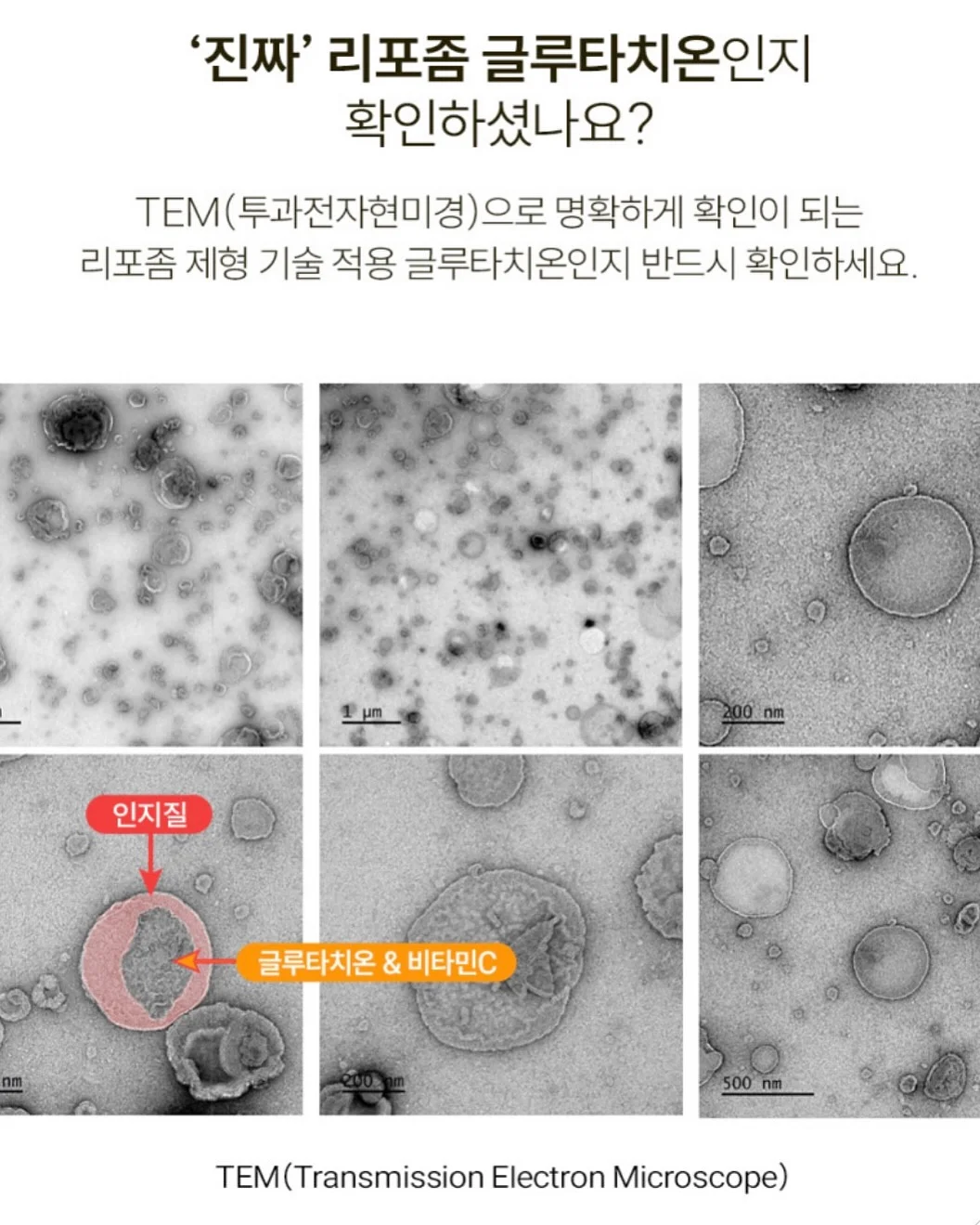 수영 원데이 클래스 5