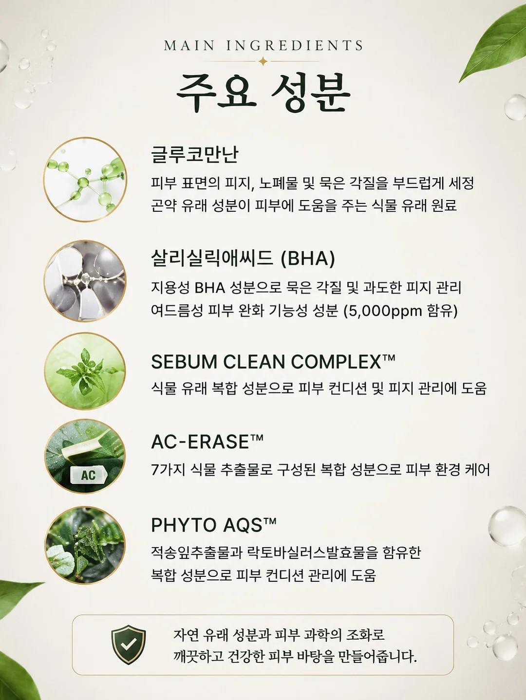 효도세트 5