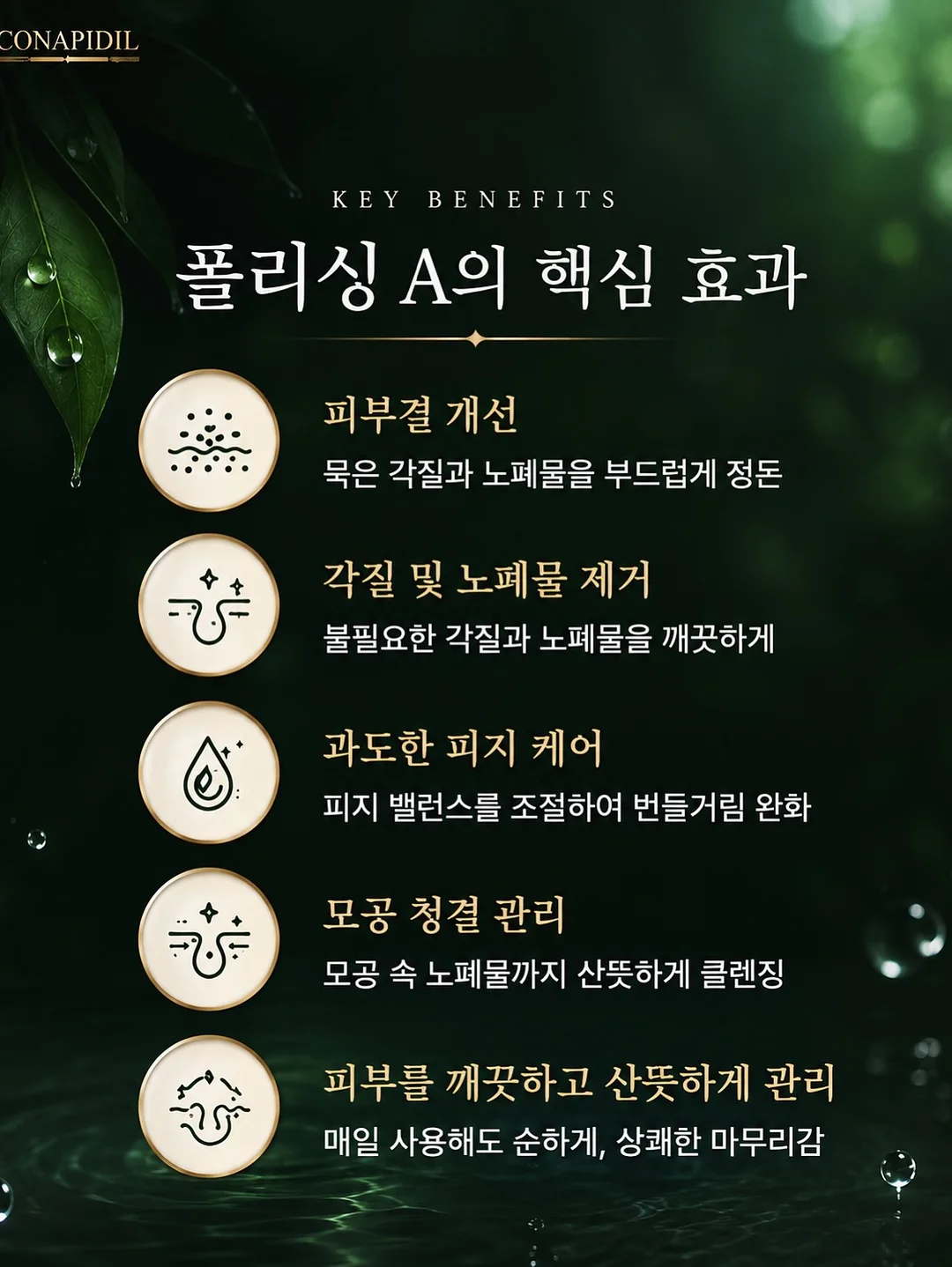 효도세트 6