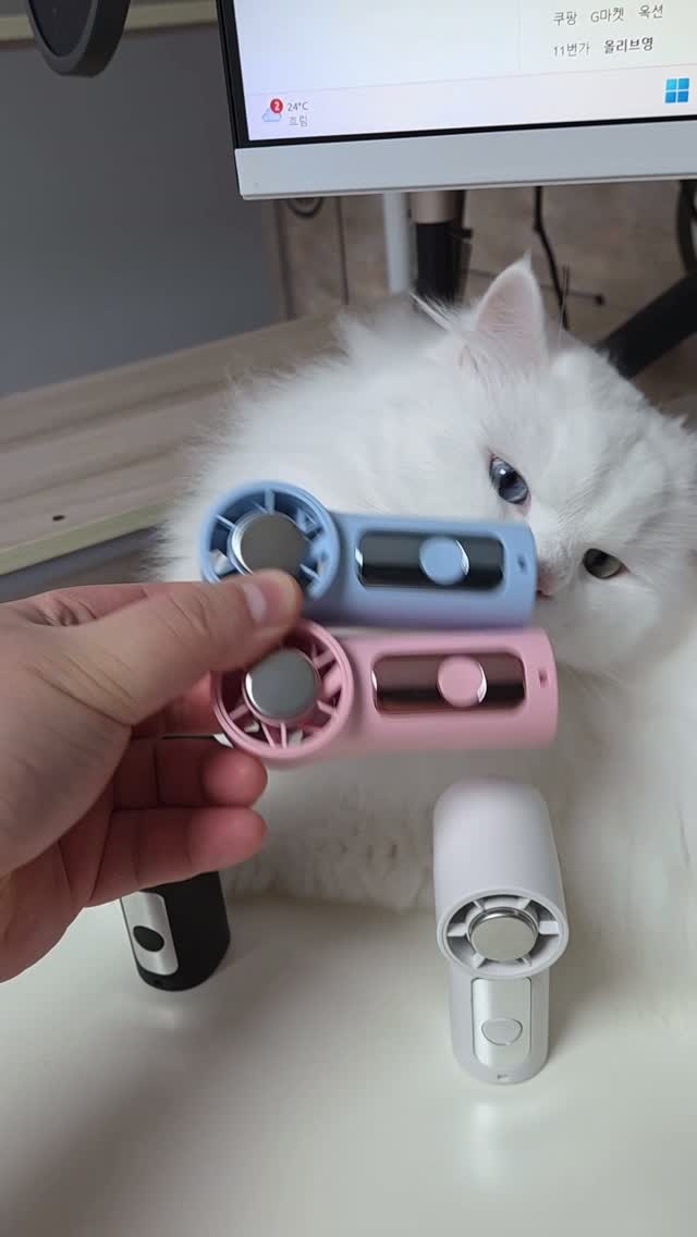 쿨 블랙 컬러