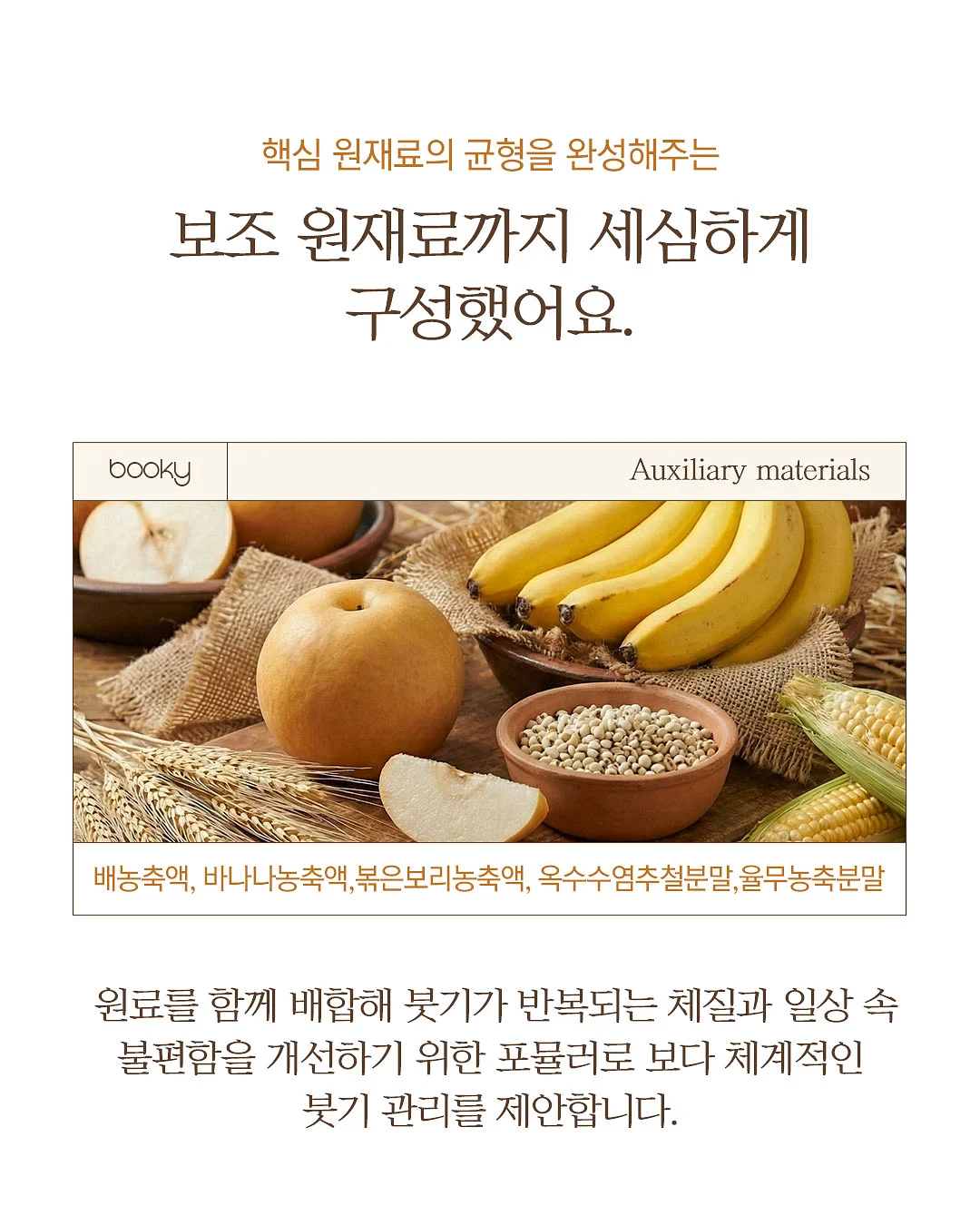 무화과나무 8