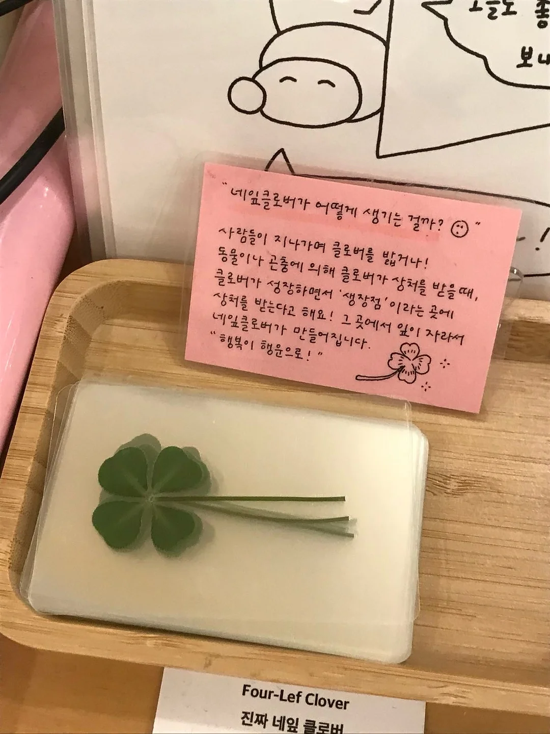 디어커스 뱀부 휴지 2