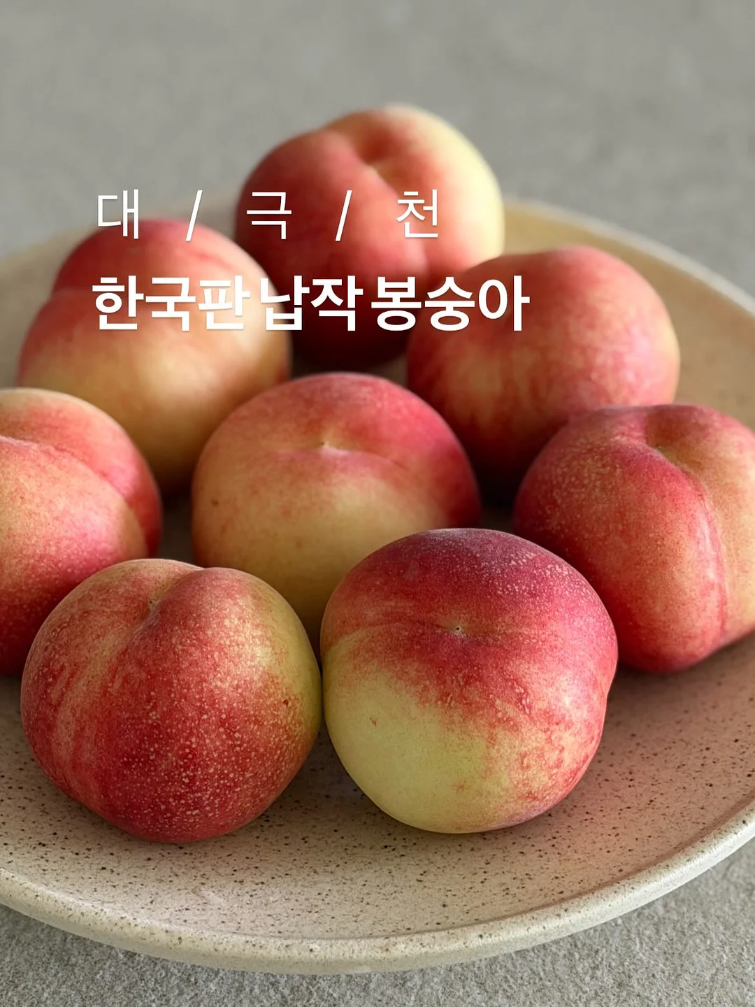 블라우스 1