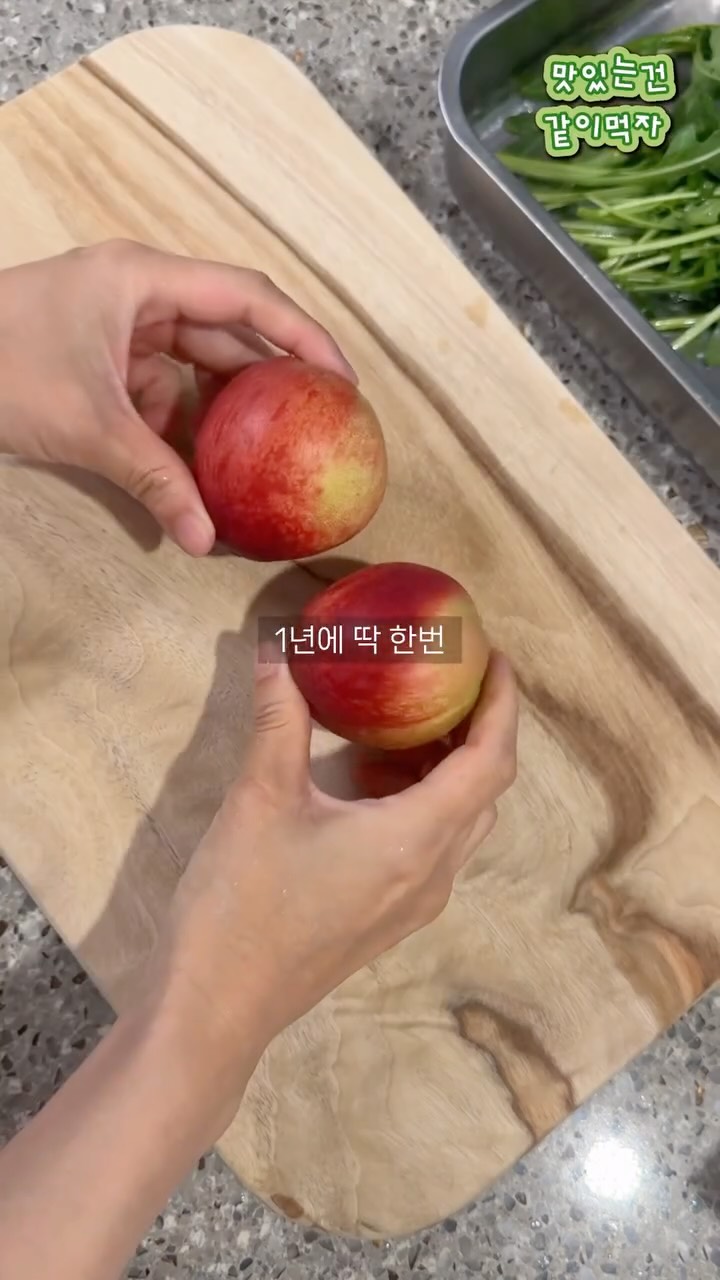 비발디 여름 촉감키트