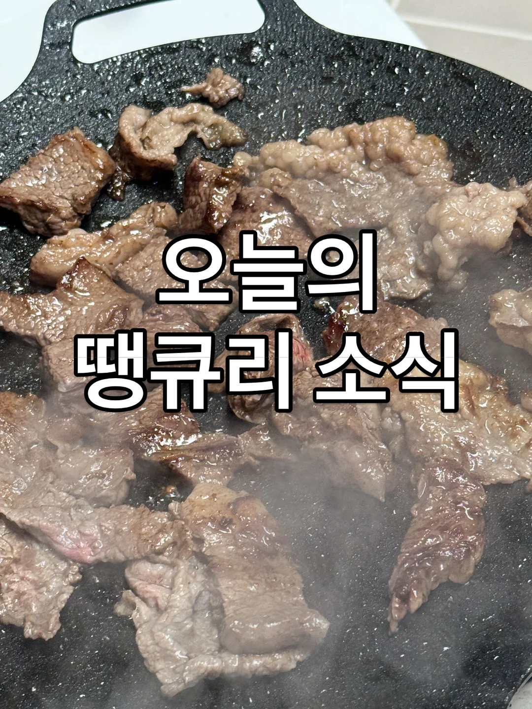 장미 빗 1