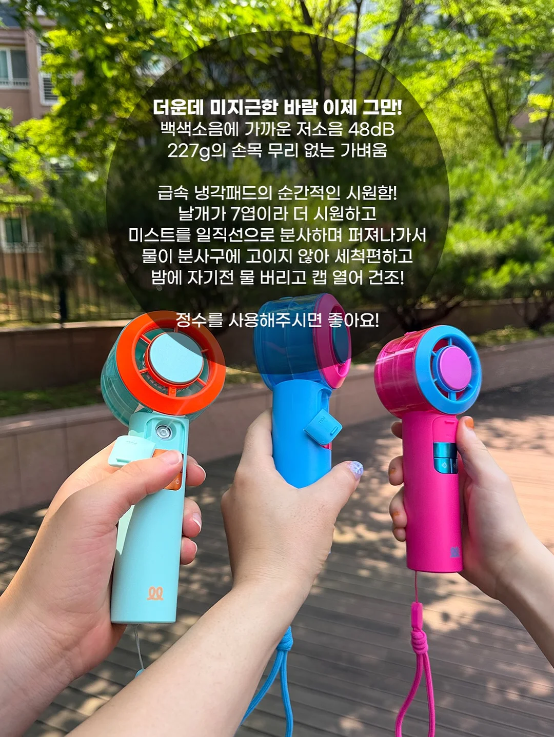 새들베스트 19