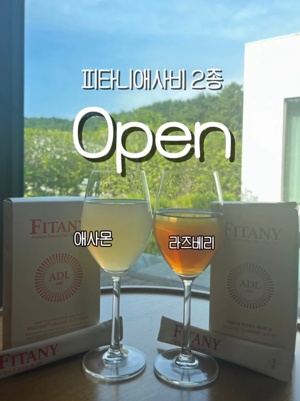 스팀 청소기 1