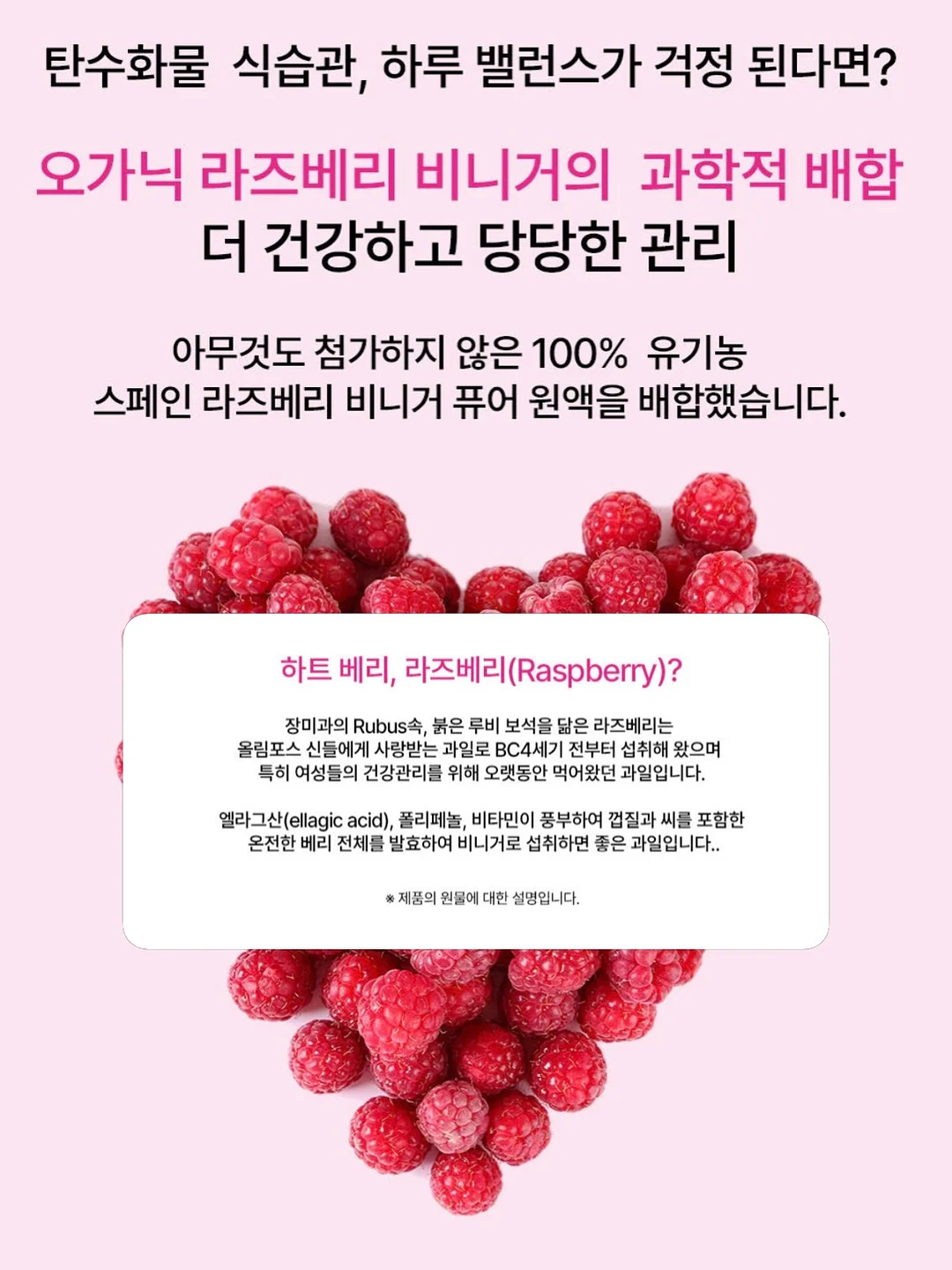 스팀 청소기 11