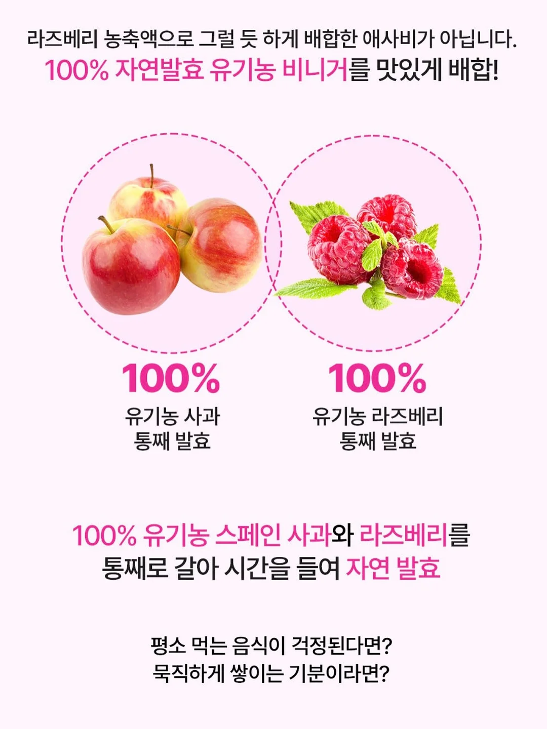 스팀 청소기 9