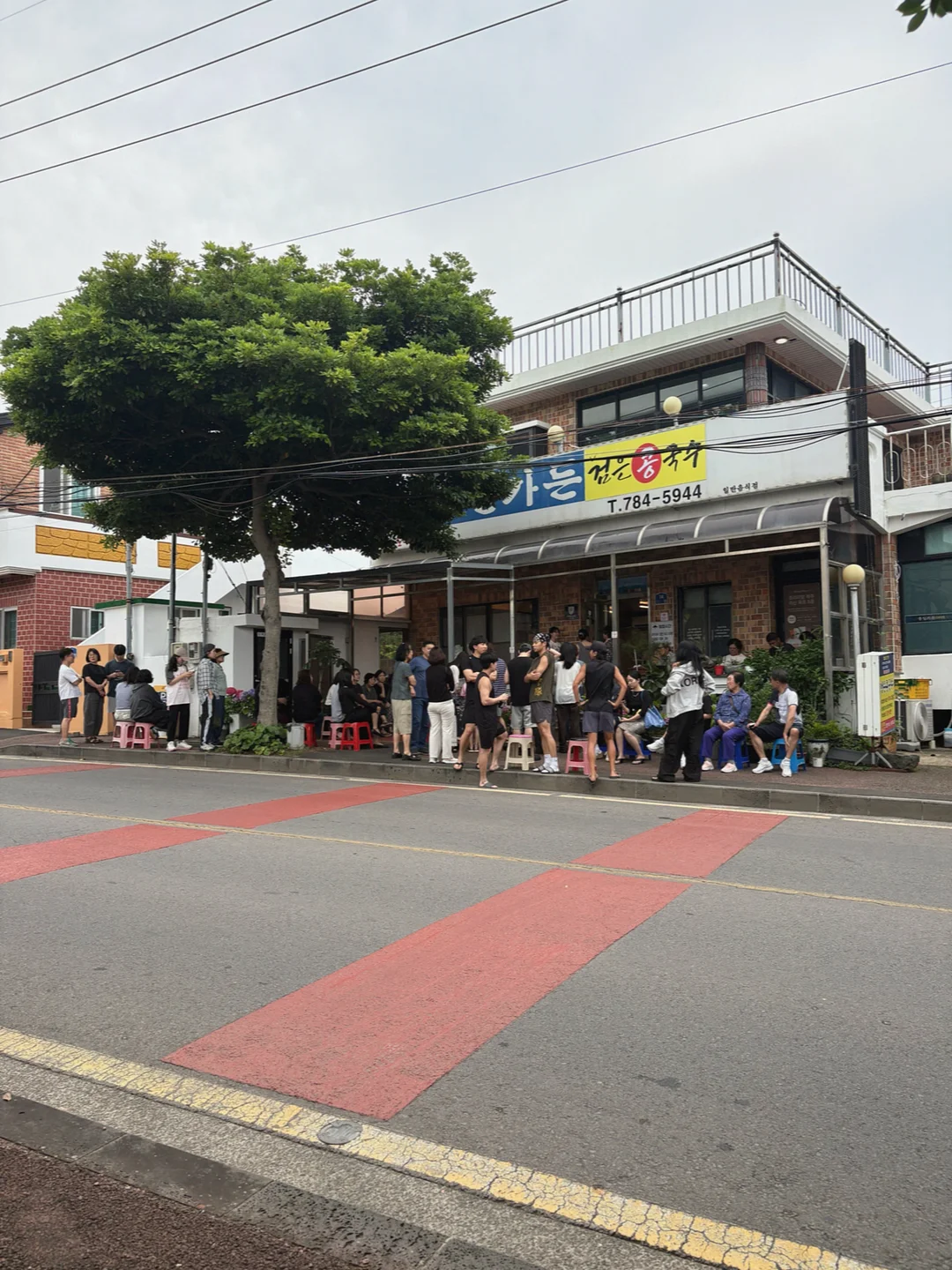 기모 고양이 상하복 14
