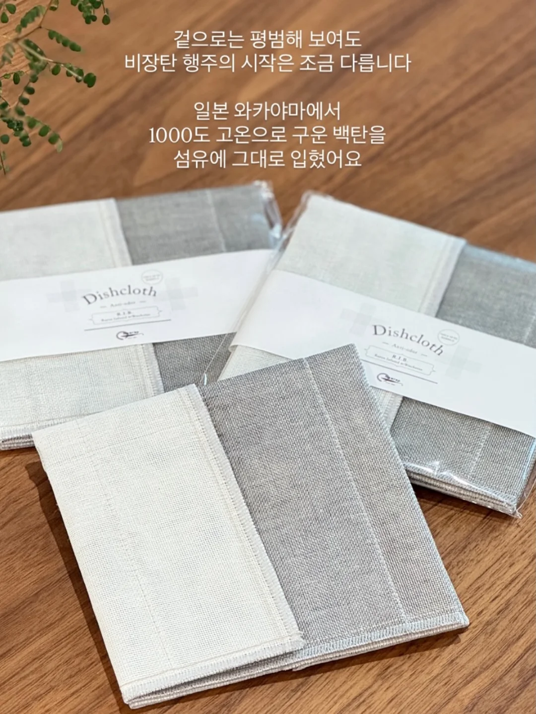 위이제 진주레이스 뮬힐 6