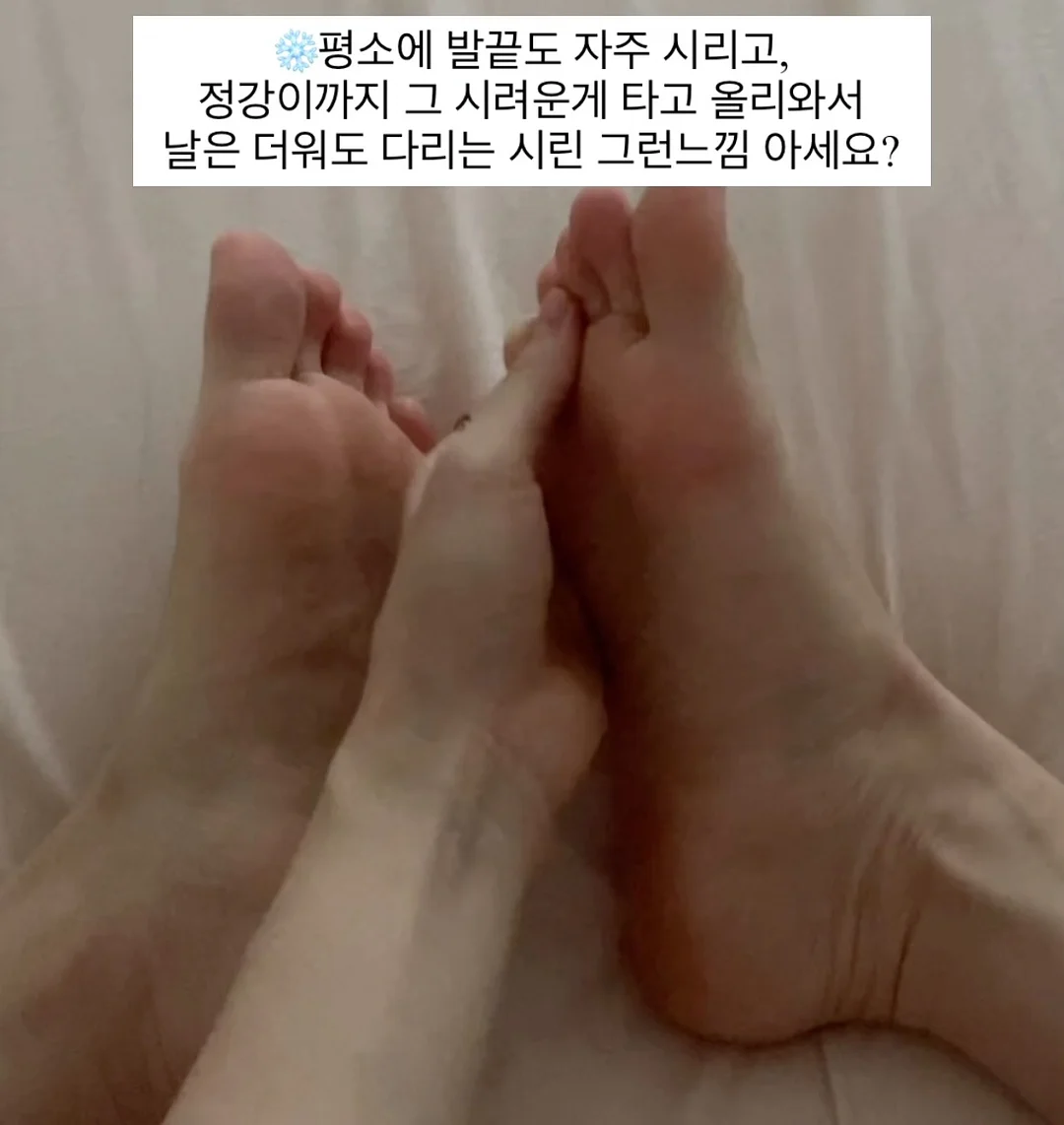 오가닉스 포리지 4