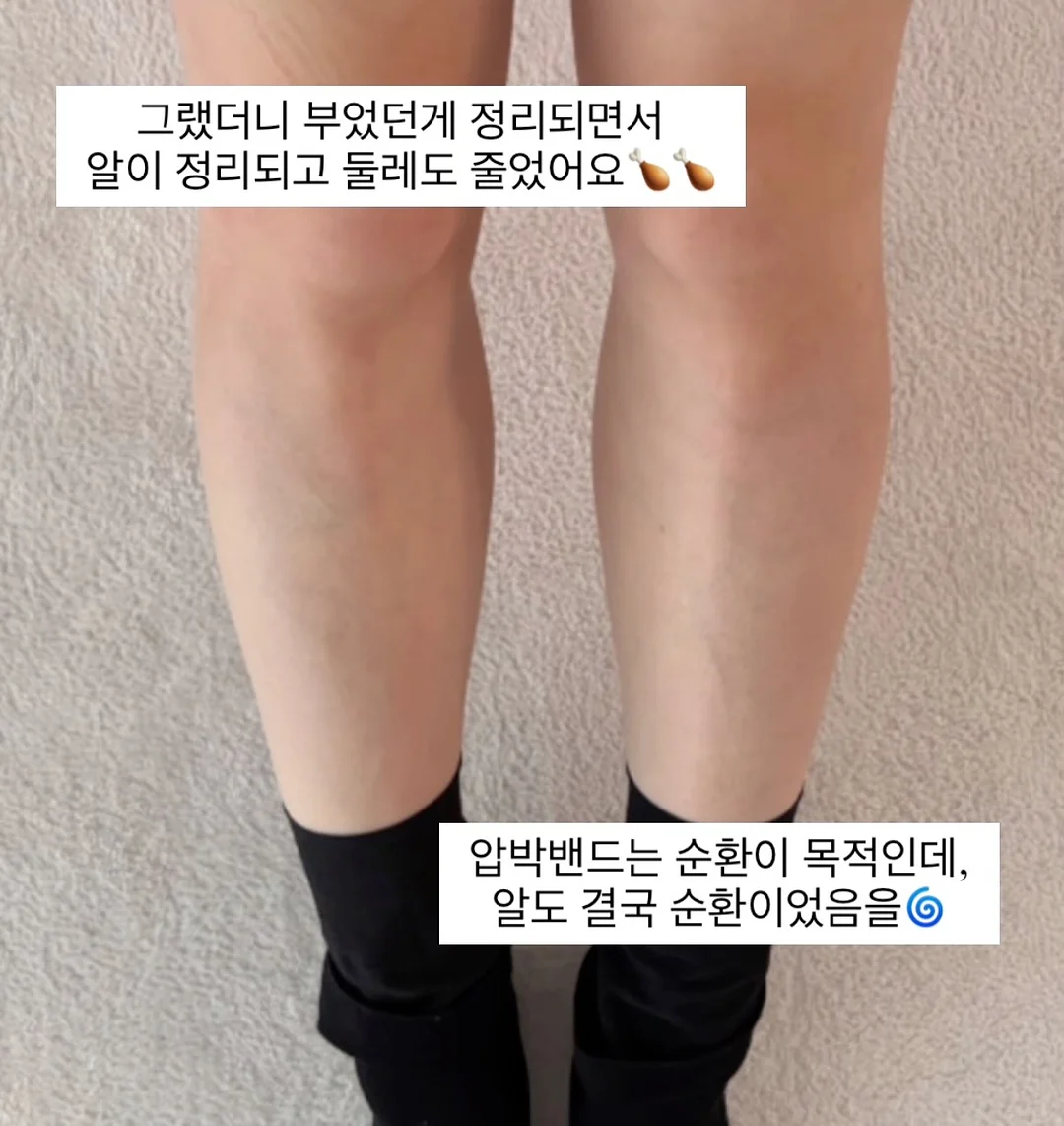 오가닉스 포리지 6