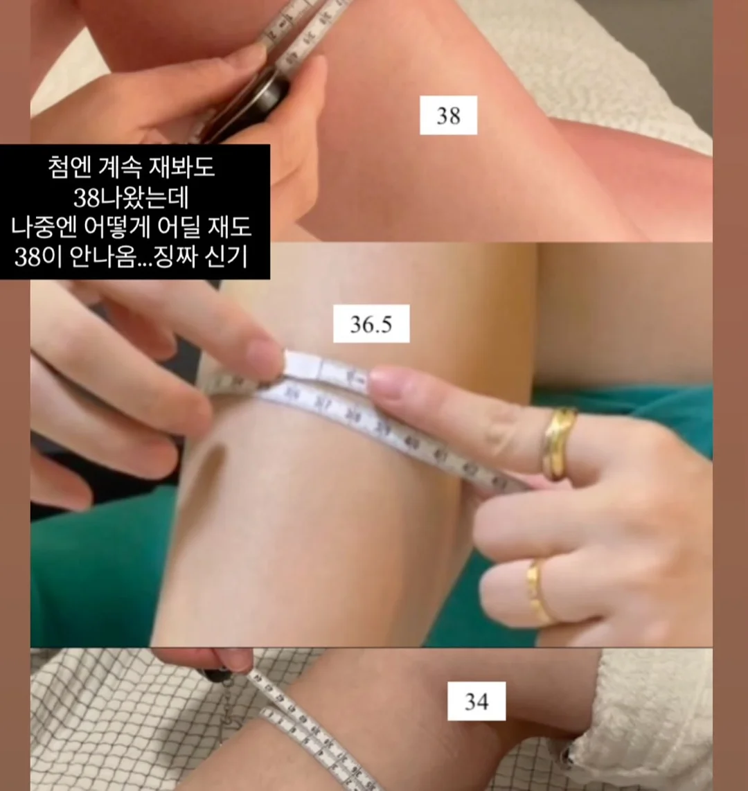 오가닉스 포리지 7