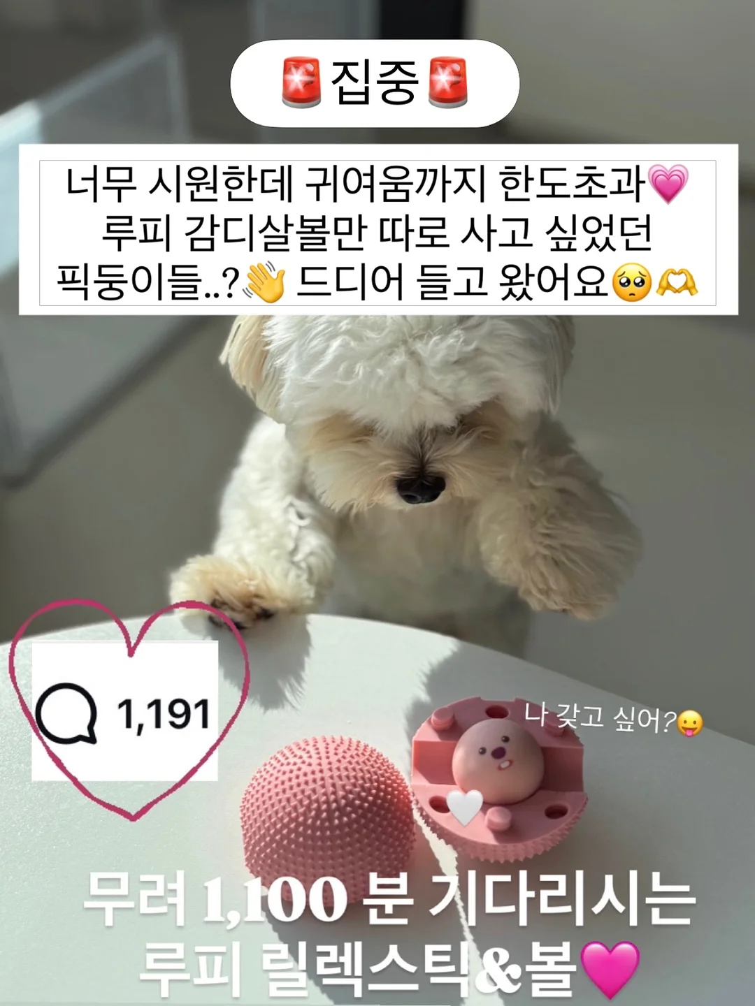벤투스 스팀 청소기 1