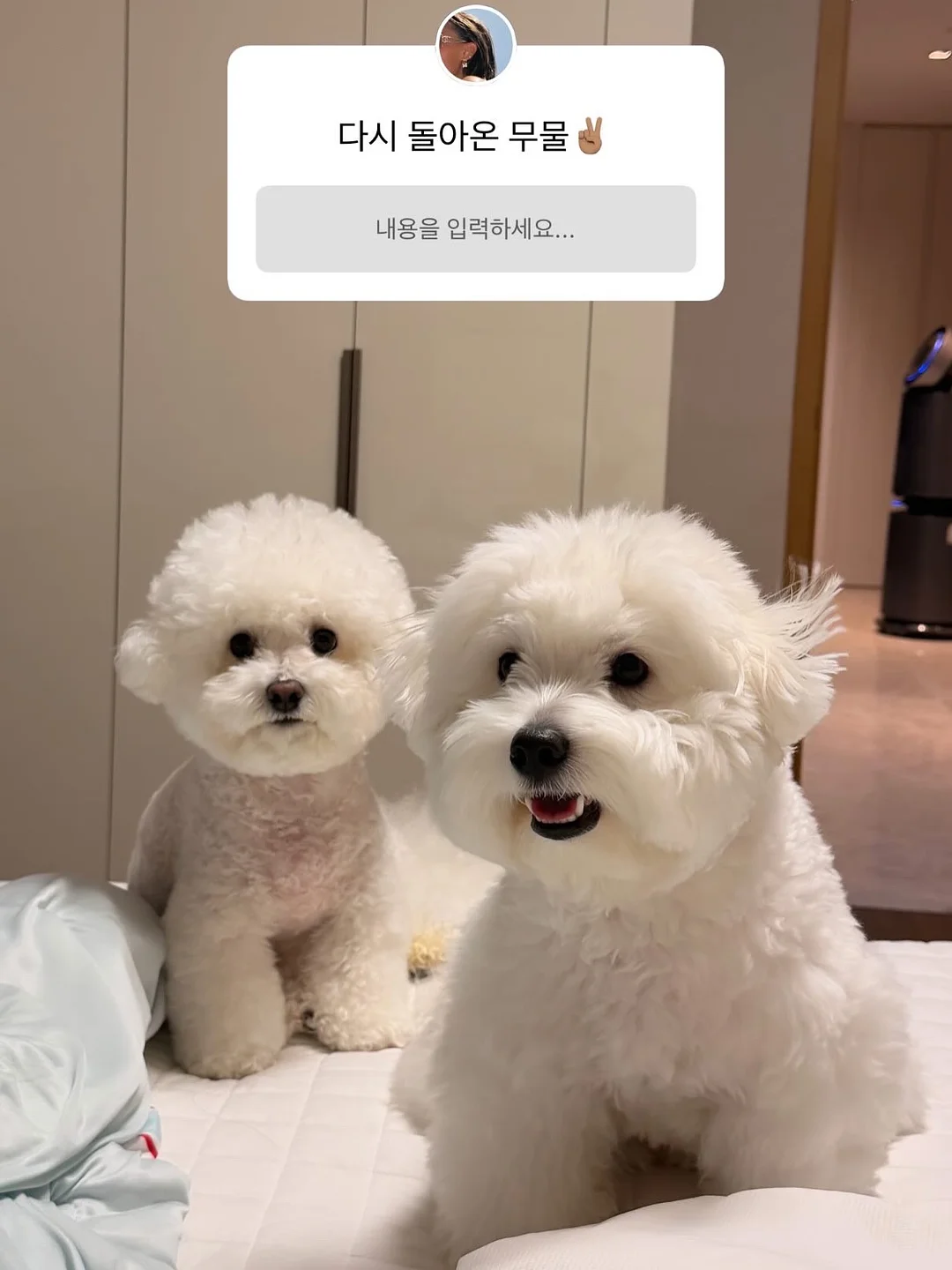 한 컵 브라우니 1