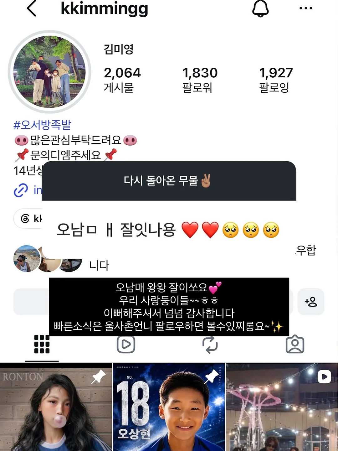 한 컵 브라우니 20