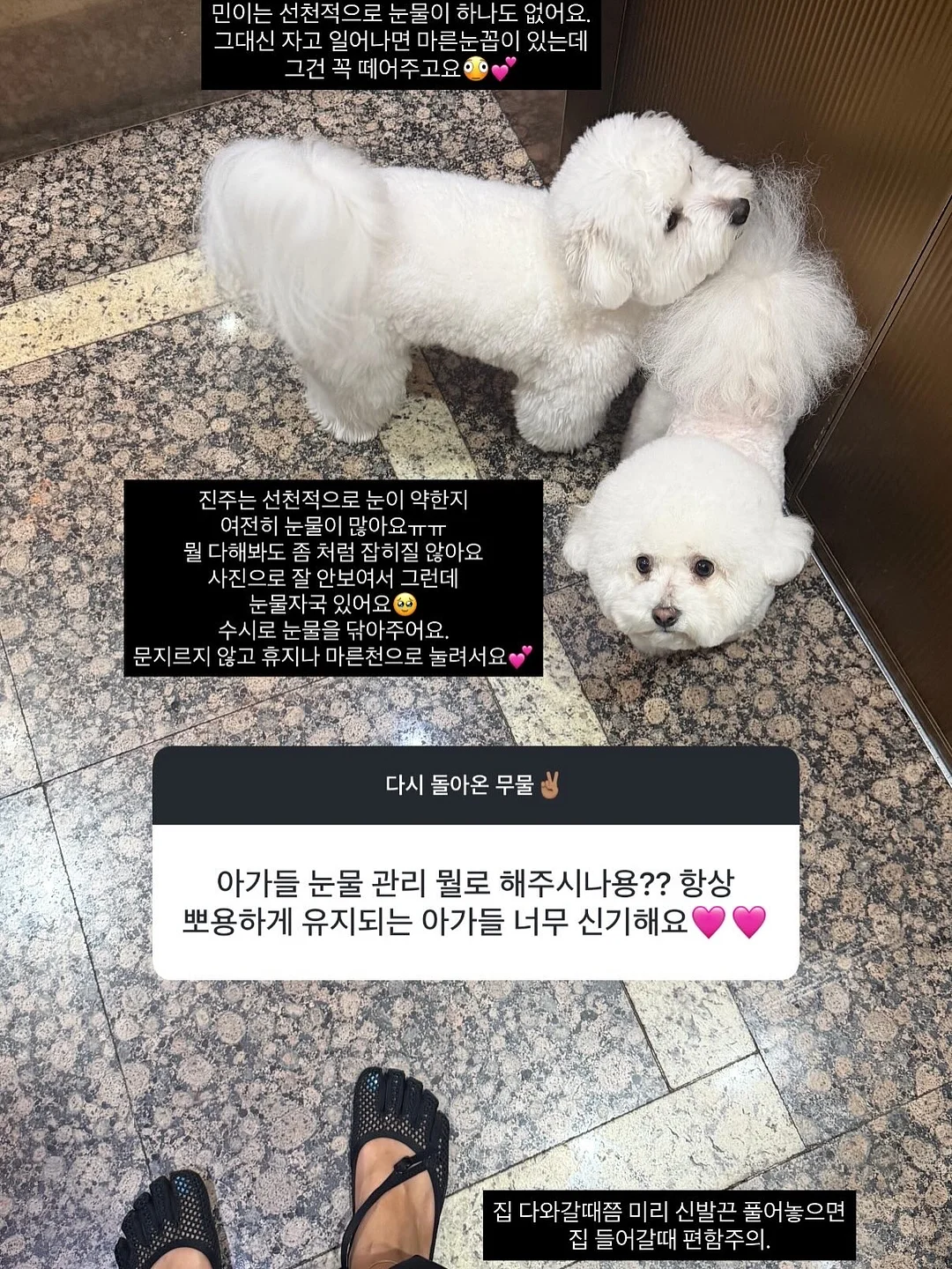 한 컵 브라우니 4