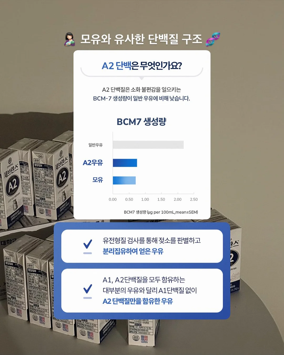 어린이집 유치원 썬캡 7