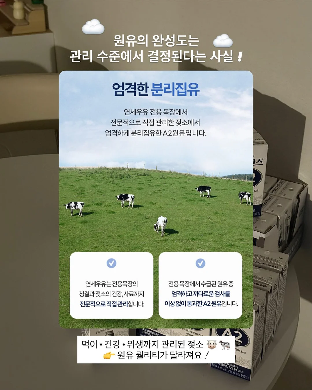 어린이집 유치원 썬캡 8