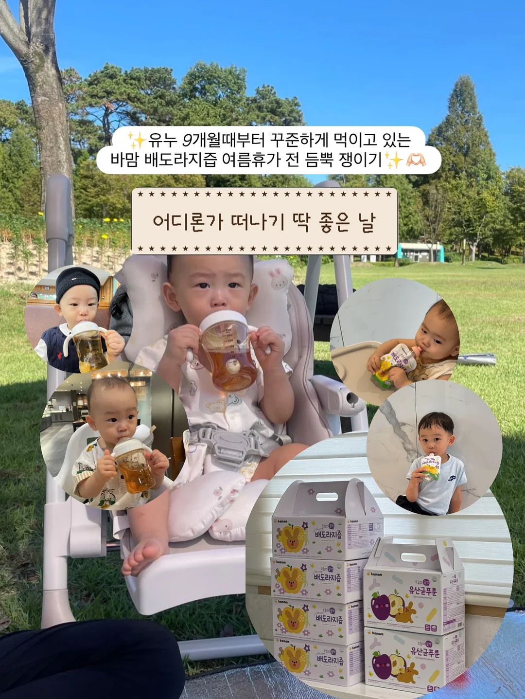 Roseraie 로즈레이 케이크 6