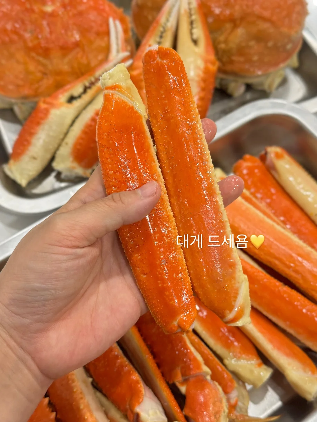 모윰 스타터 치발기 1