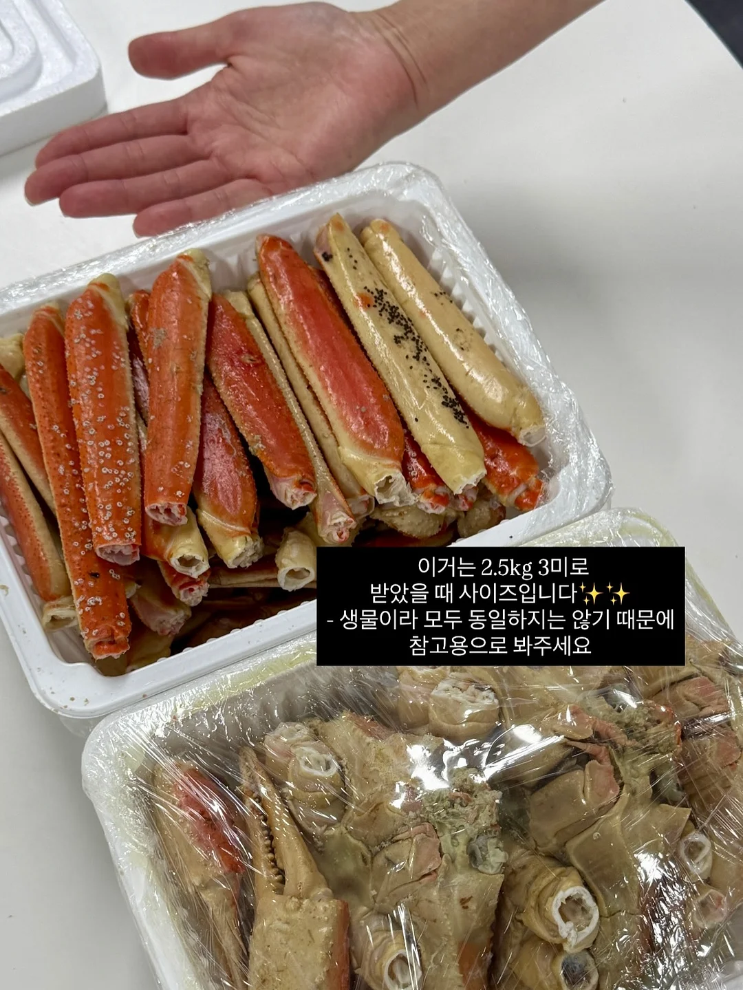 모윰 스타터 치발기 2