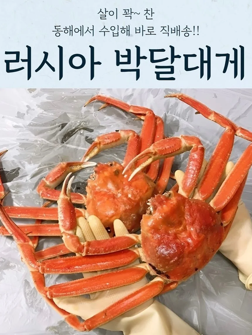 모윰 스타터 치발기 5