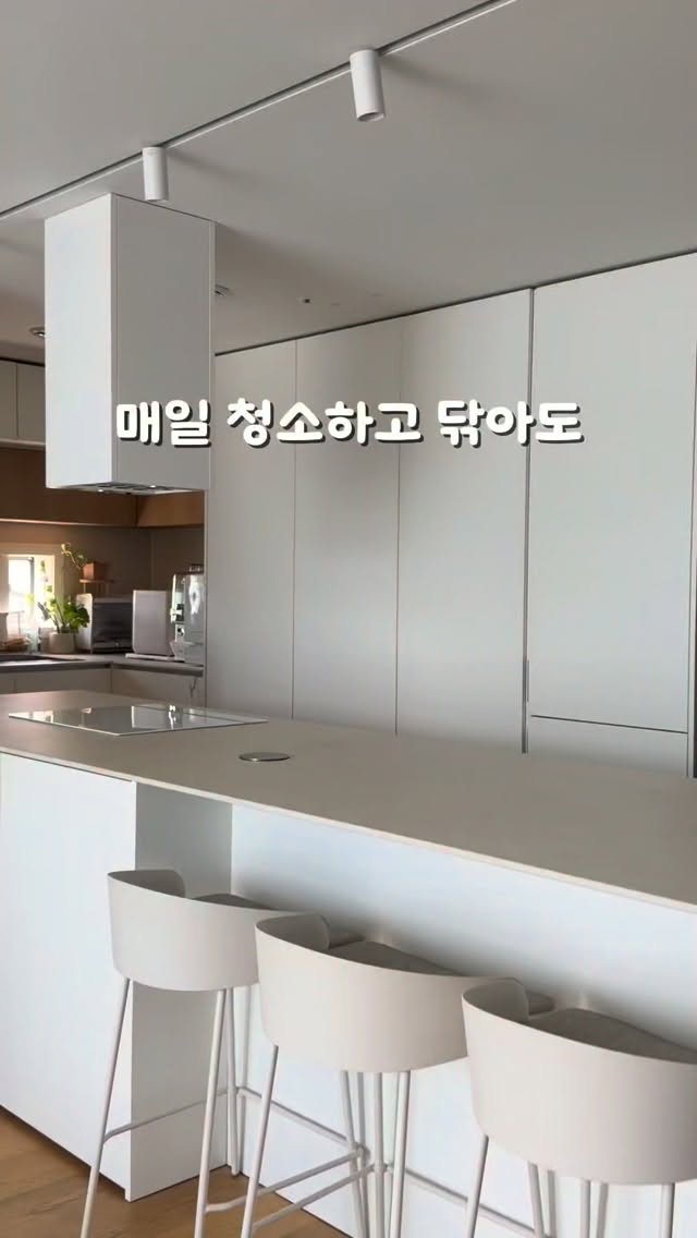 용산공원 스냅 촬영
