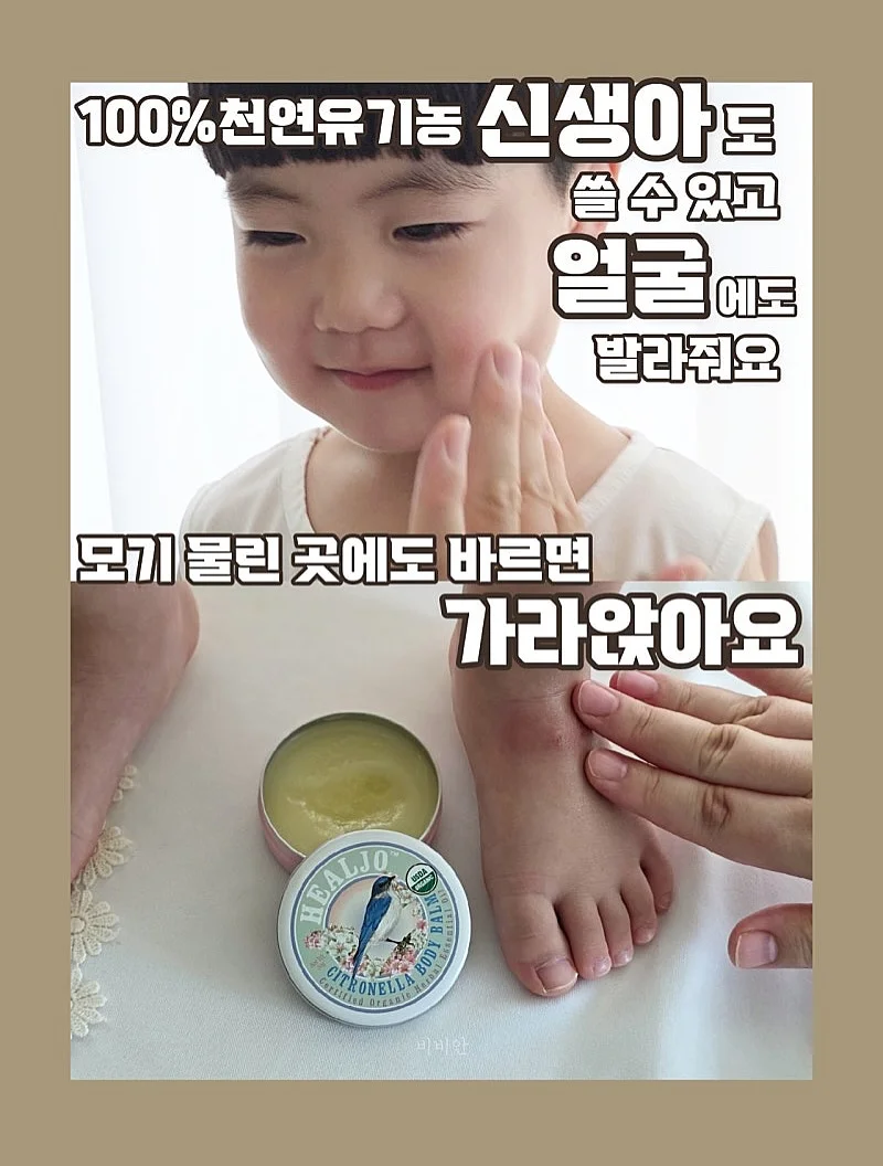 전기회로 과학 구독과학 4