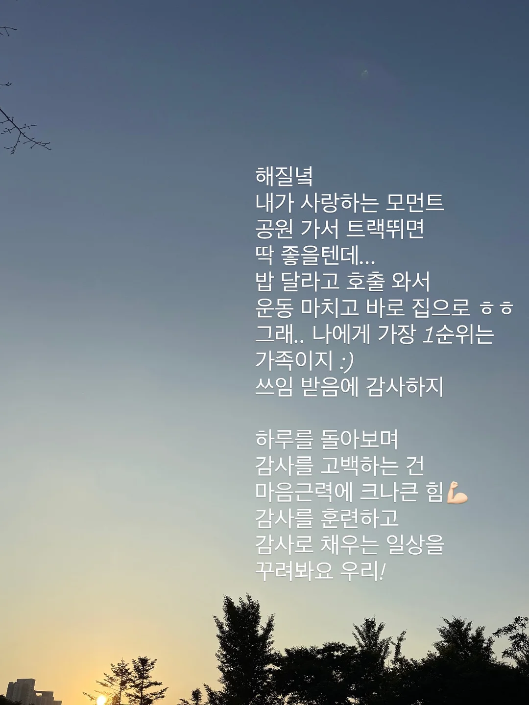 필립 콩티치니 브리오슈 푀이테 레시피 8