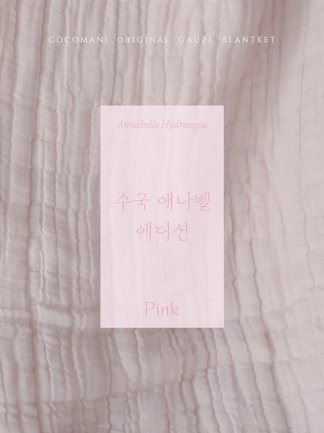 남은 채소 보관 용기 1
