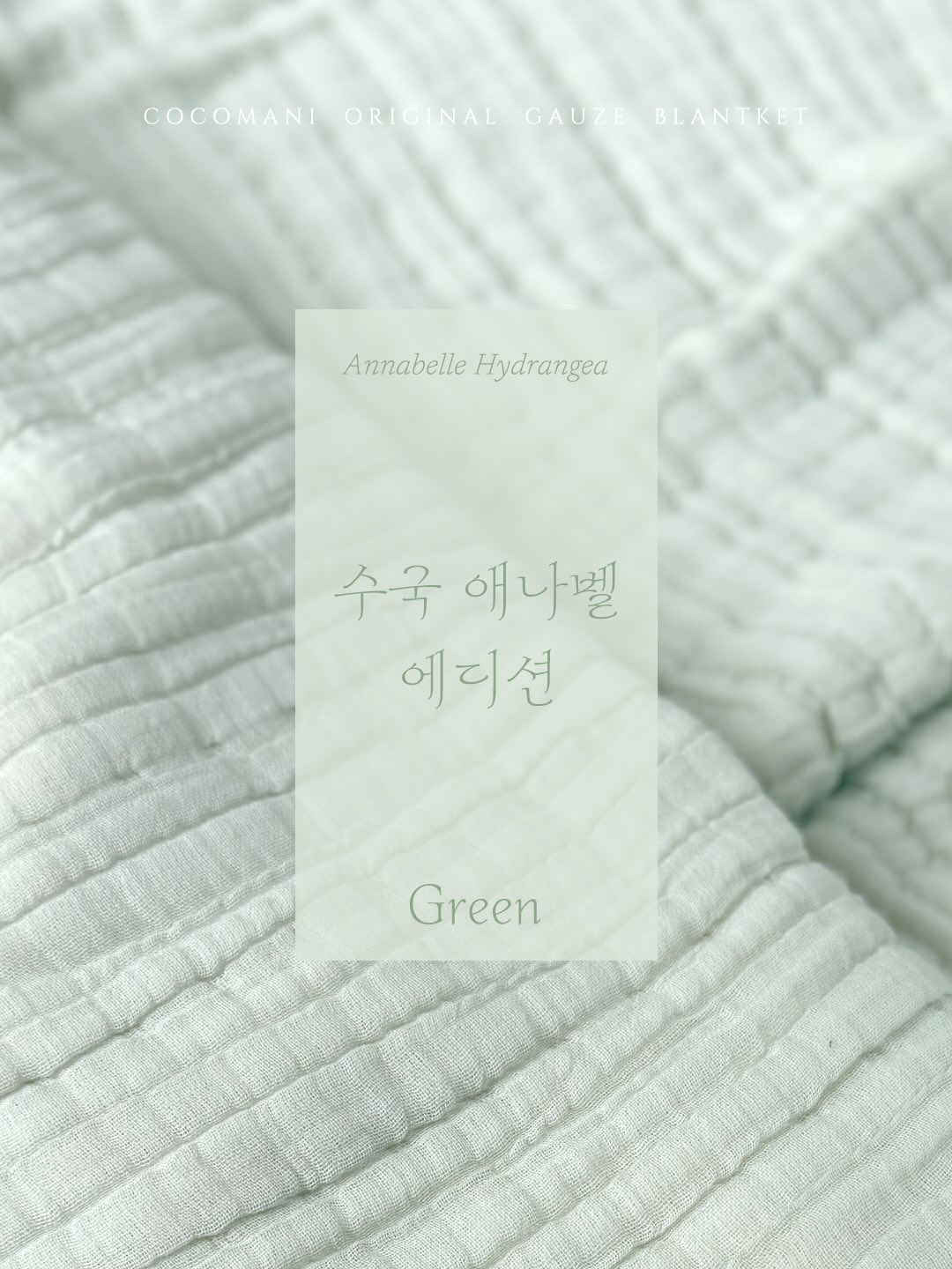 남은 채소 보관 용기 2