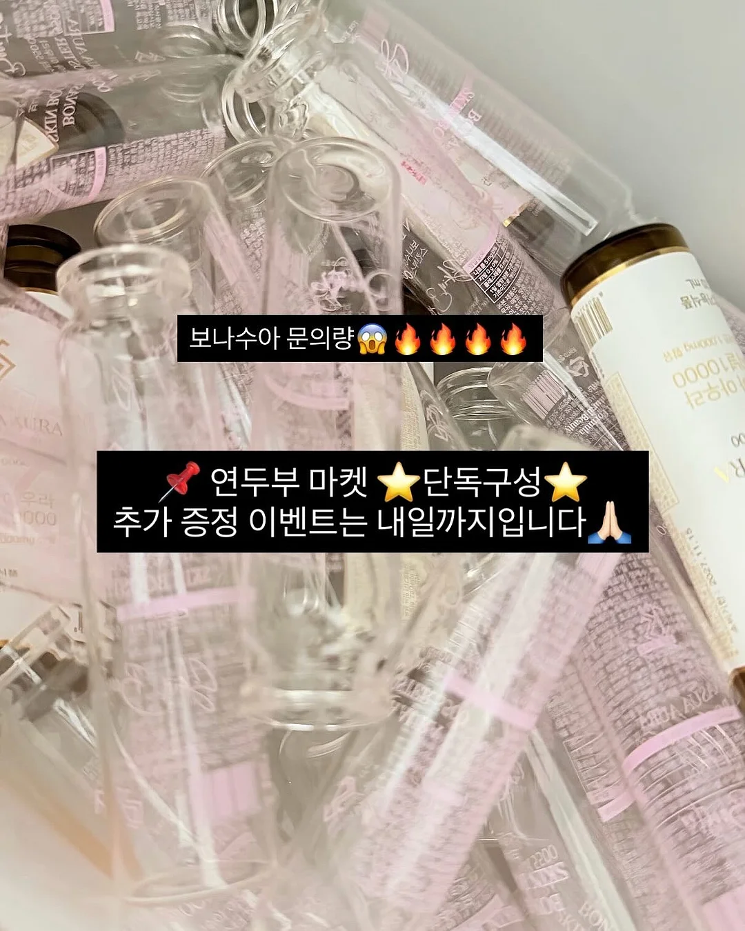 롱샴 가방 1