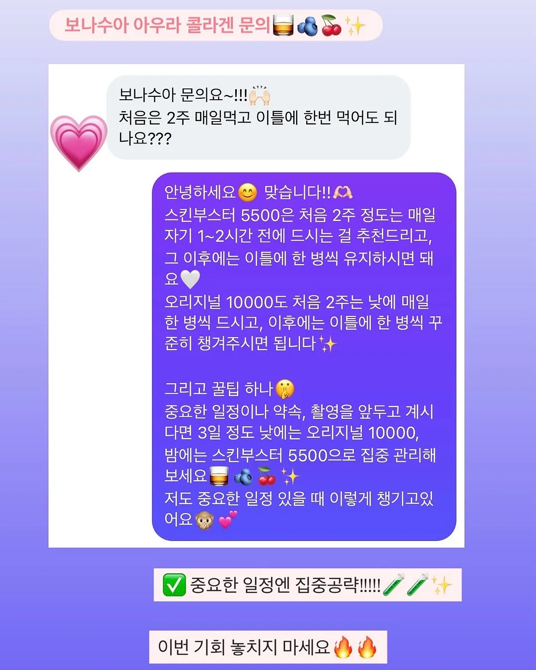 롱샴 가방 3