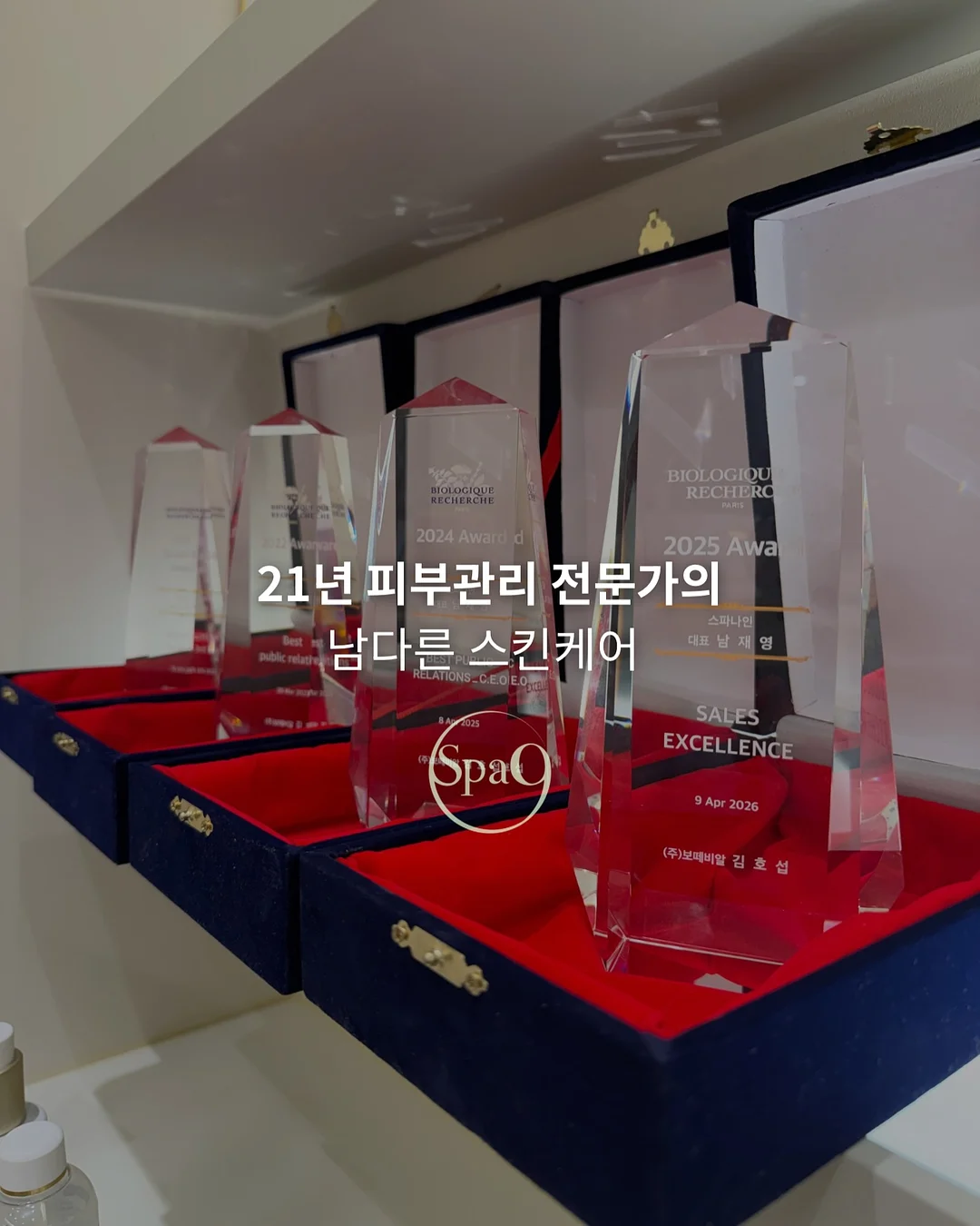 새우올리브파스타 7